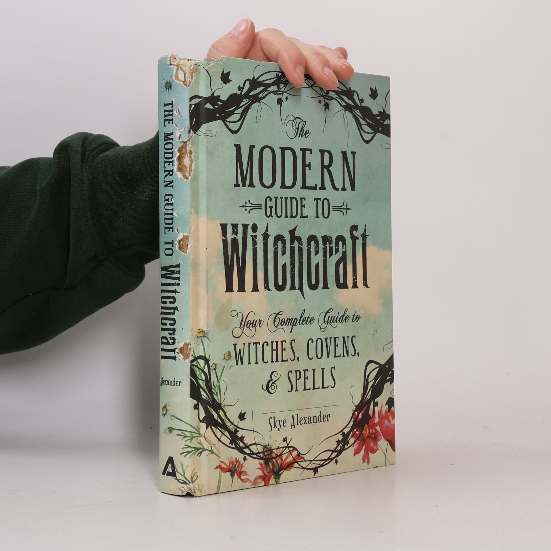 The Modern Guide to Witchcraft