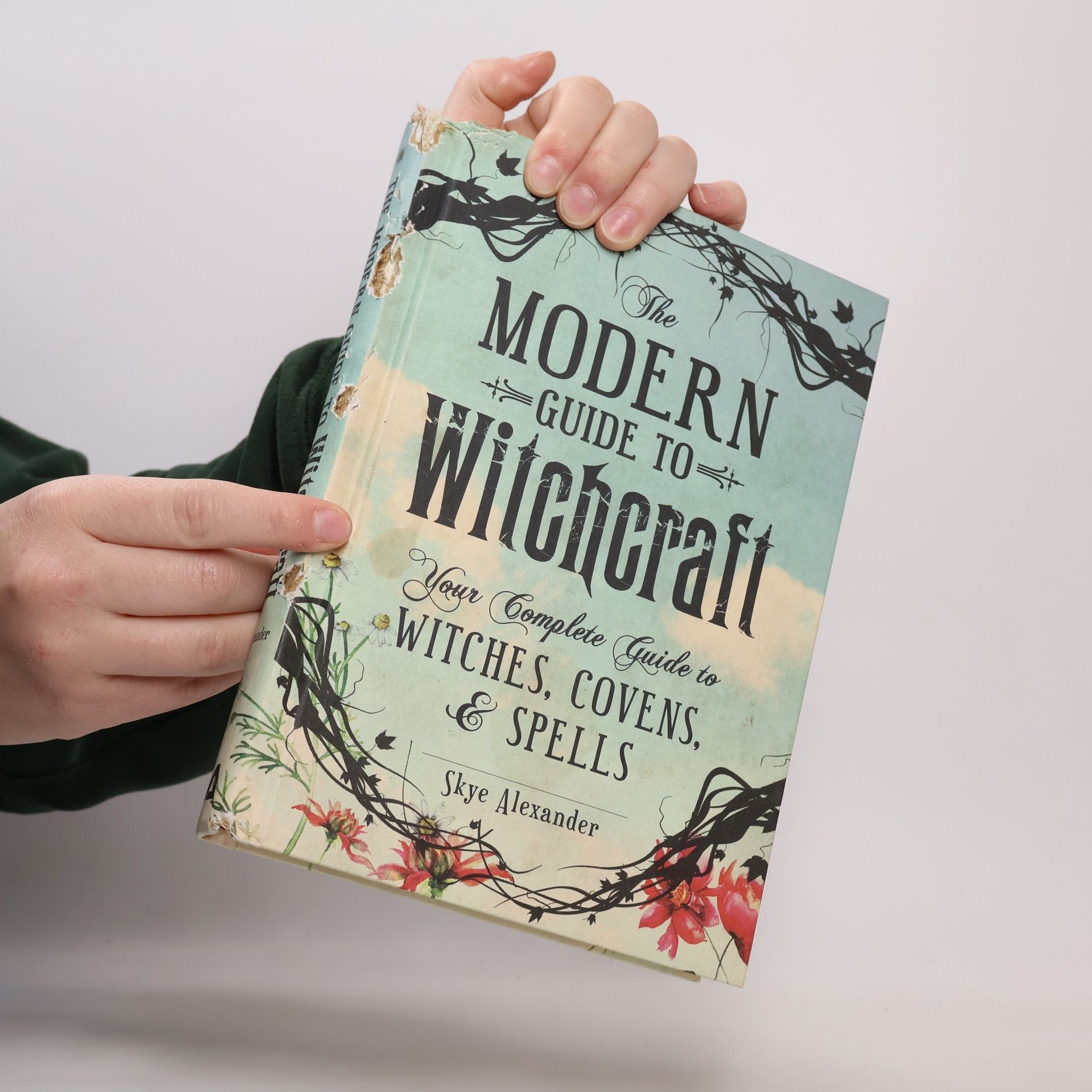 Skye Alexander The Modern Guide to Witchcraft