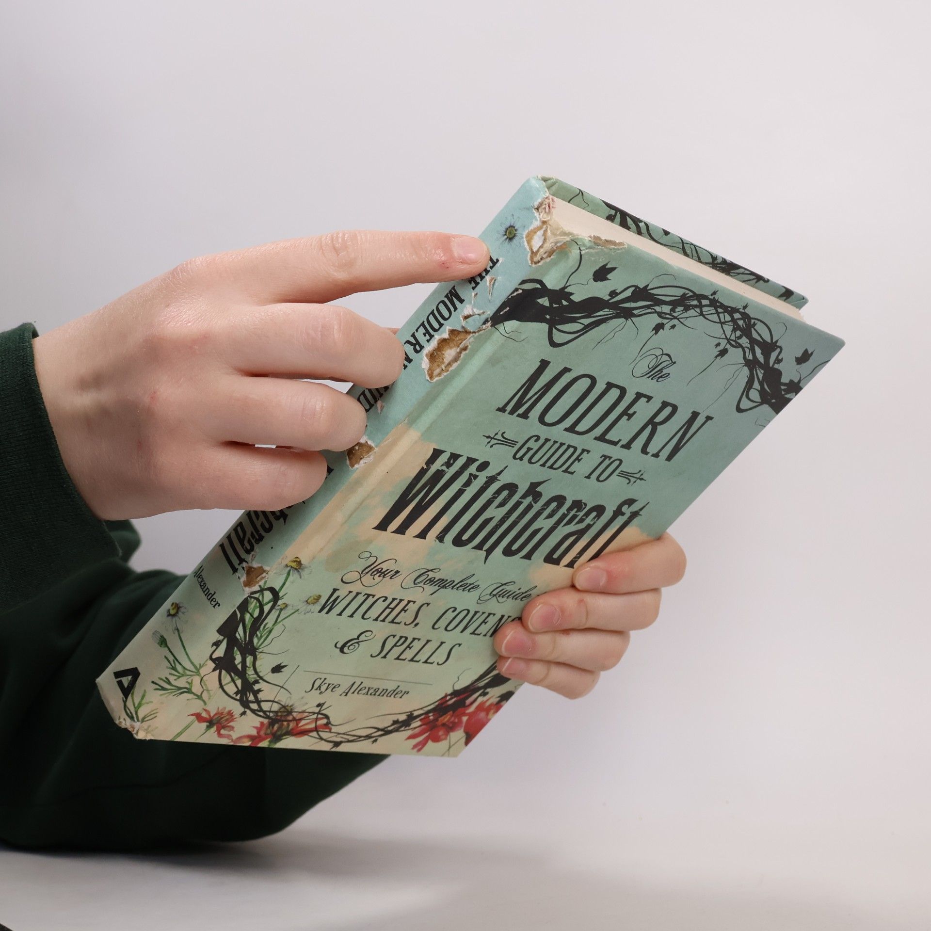 Skye Alexander The Modern Guide to Witchcraft