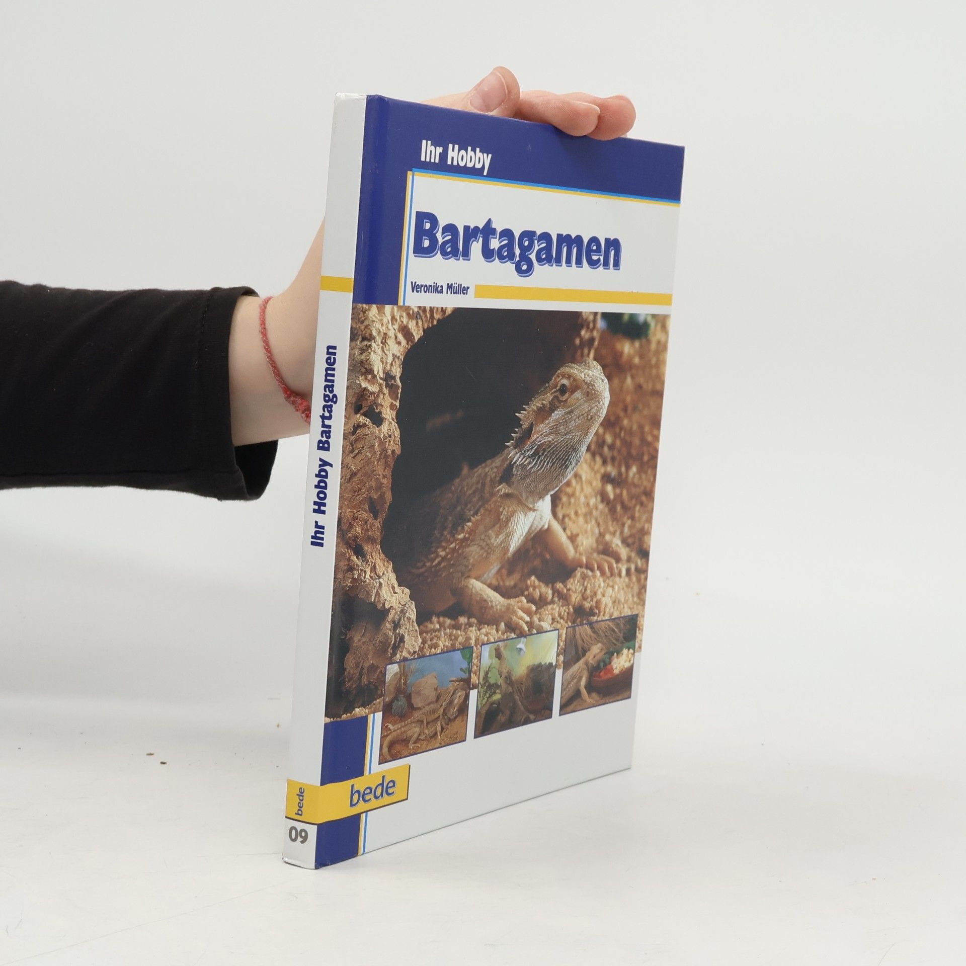 Bartagamen