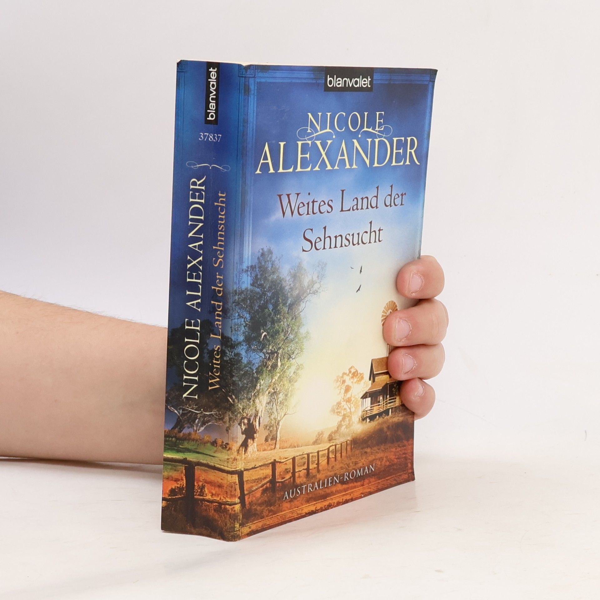 Nicole Alexander Weites Land der Sehnsucht