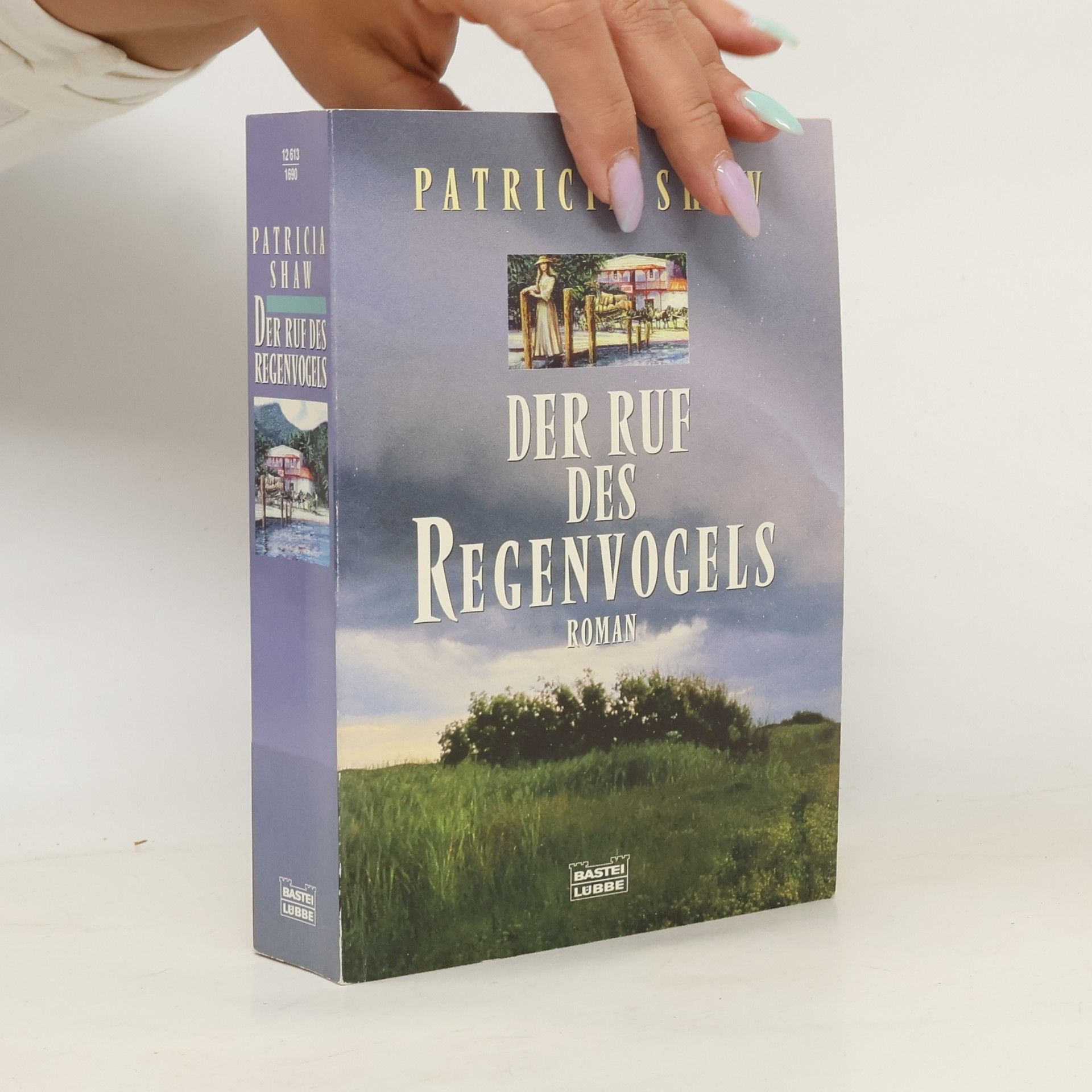 Der Ruf des Regenvogels