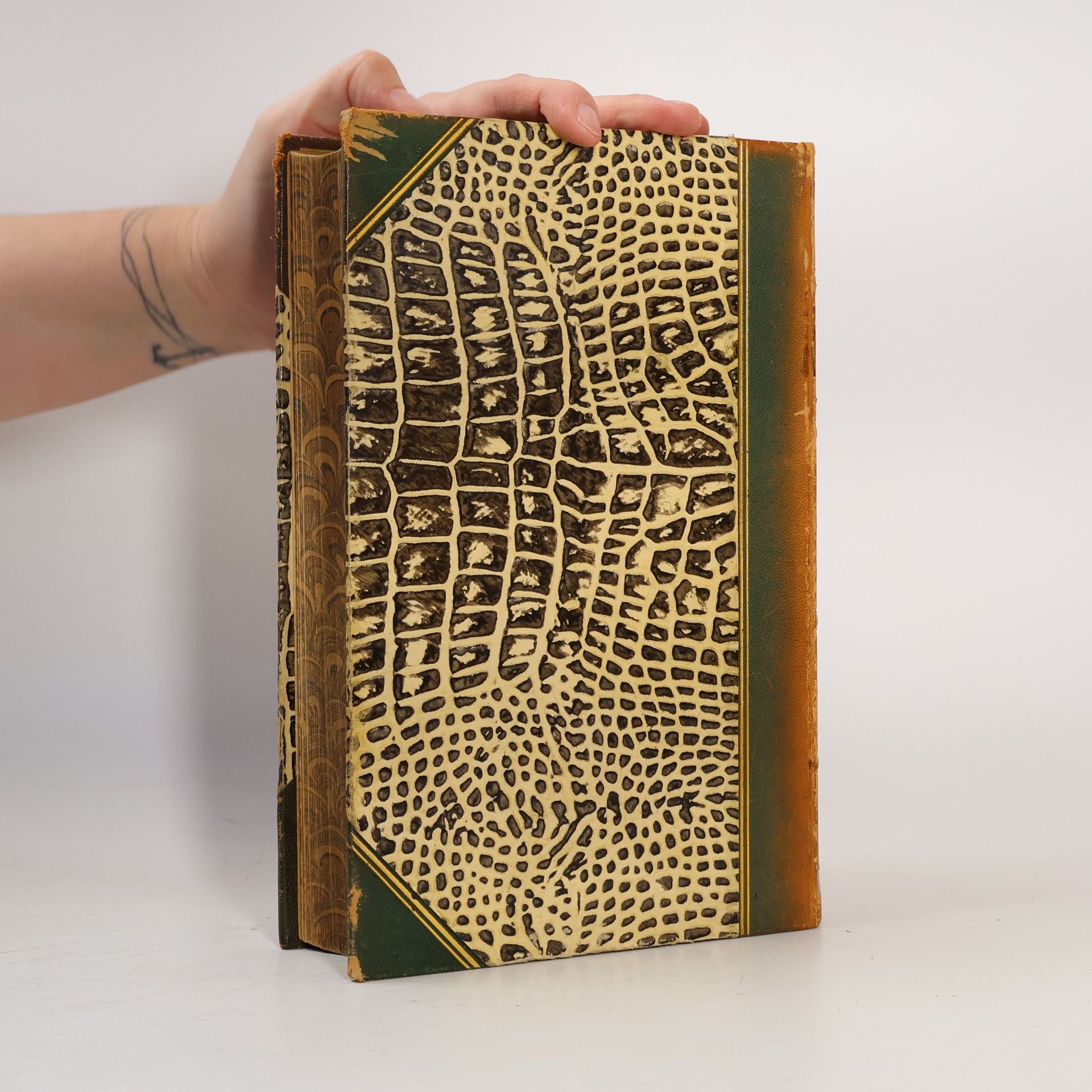Collectif d'auteurs Brockhaus' Konversations-Lexikon 10