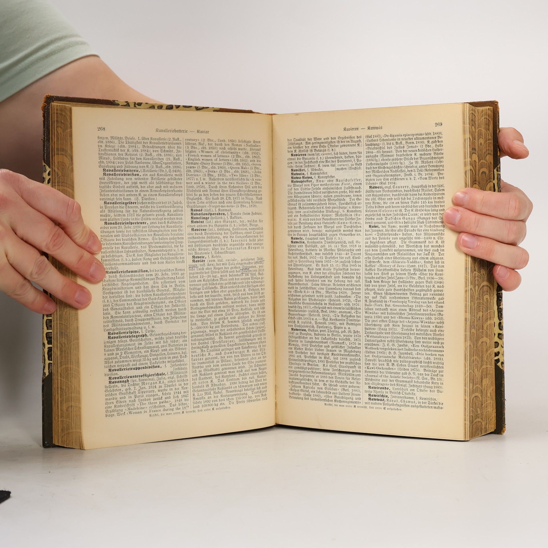 Collectif d'auteurs Brockhaus' Konversations-Lexikon 10