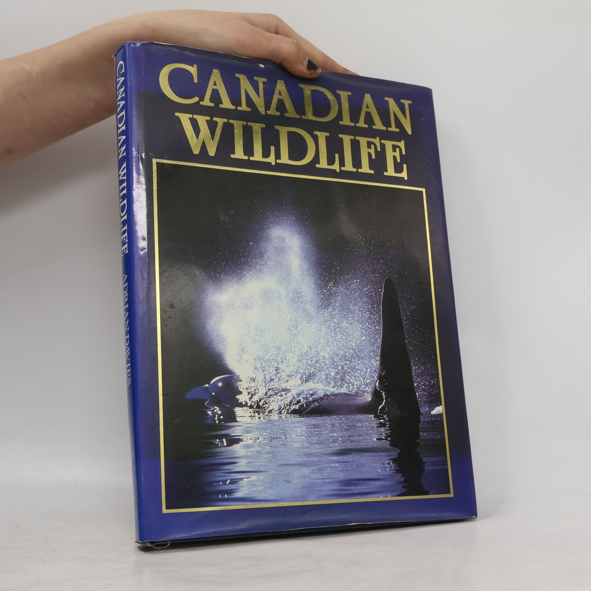 Canadian Wildlife