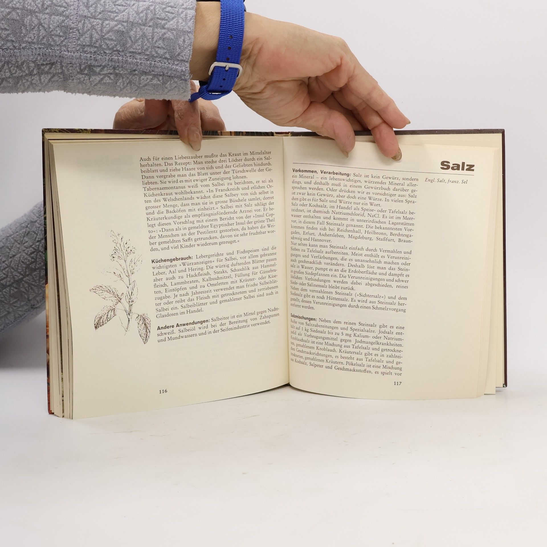 Roland Gööck Gewürze und Kräuter von A-Z