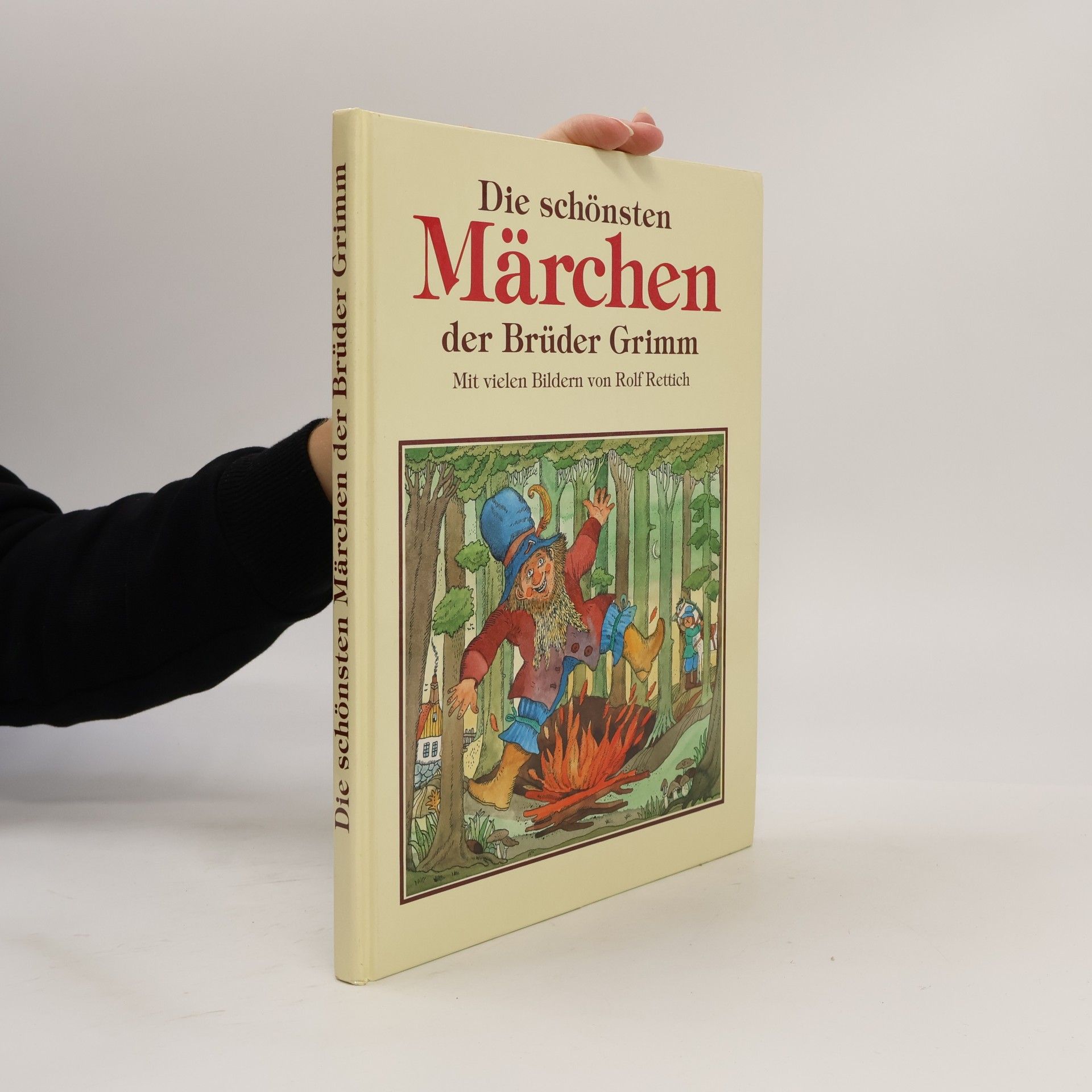 Kolektiv autorů Die schönsten Märchen der Brüder Grimm