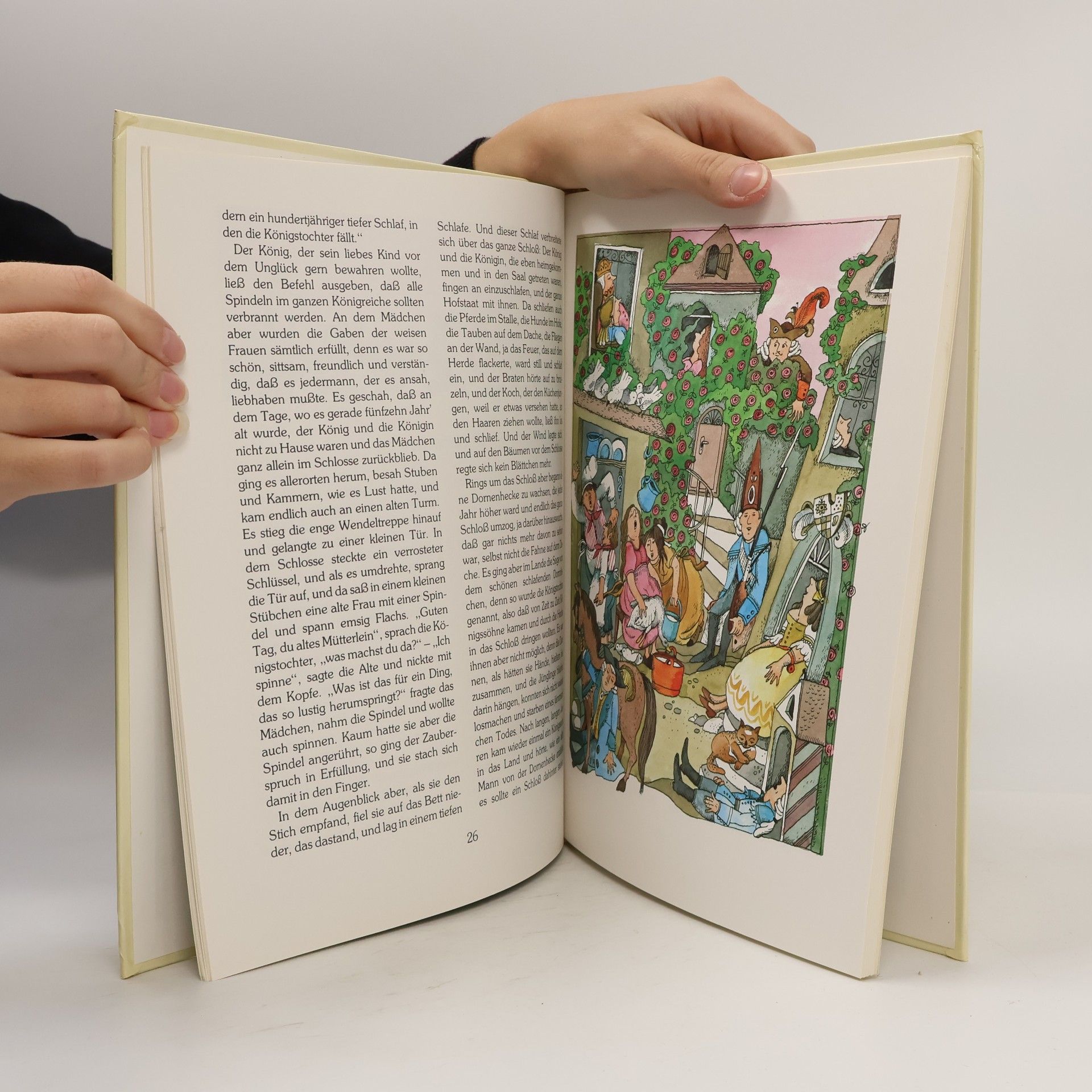 Kolektiv autorů Die schönsten Märchen der Brüder Grimm