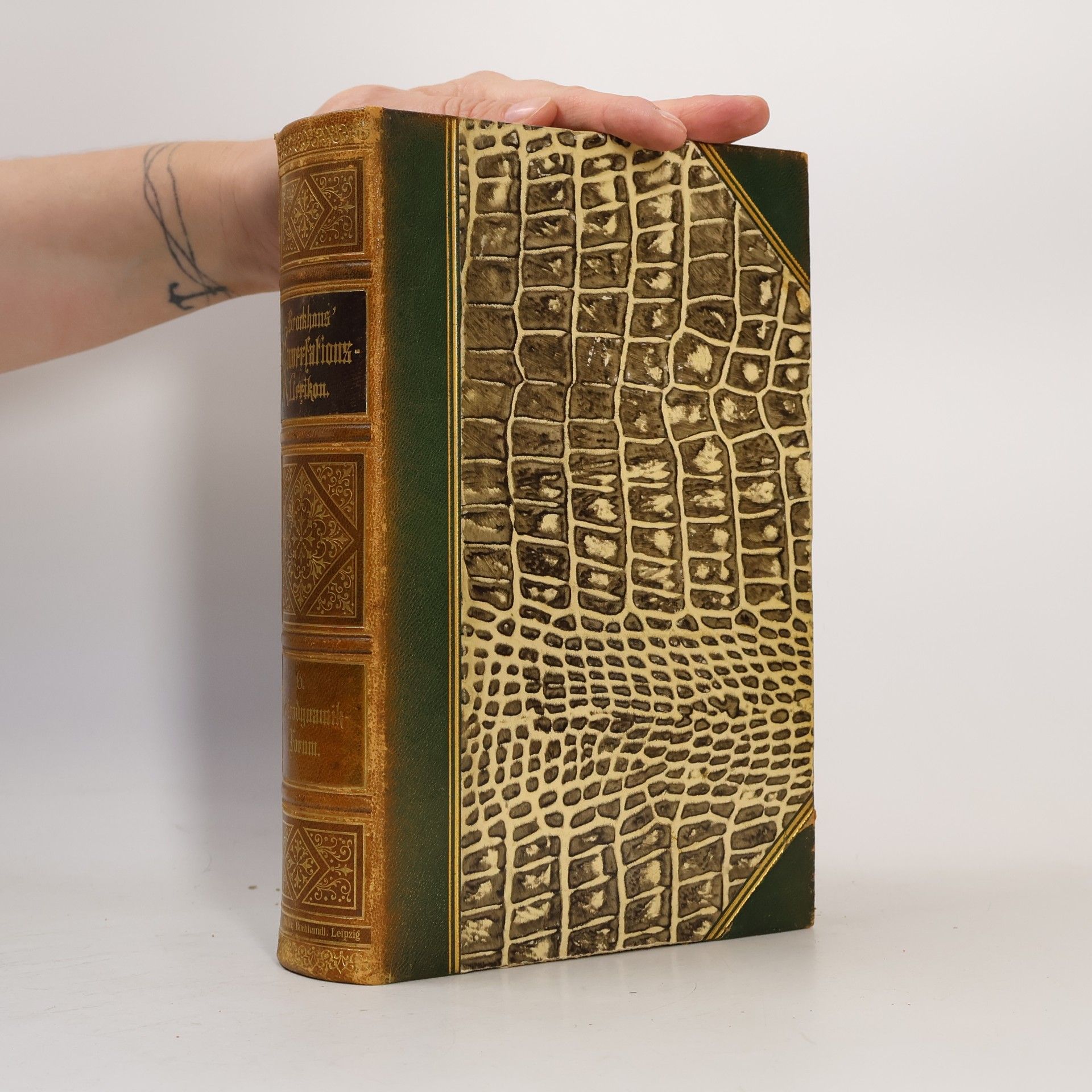 Various authors Brockhaus' Konversations-Lexikon