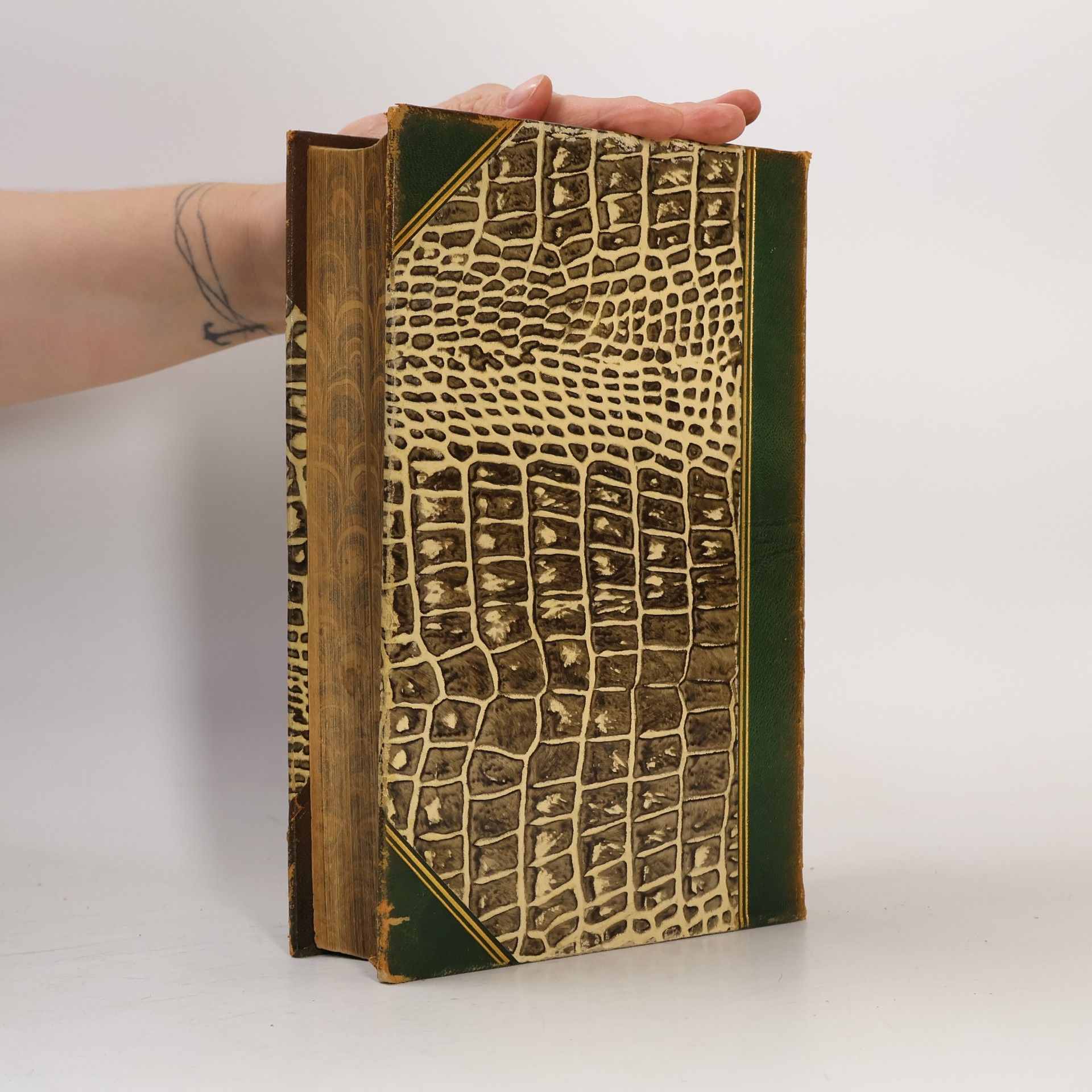 Various authors Brockhaus' Konversations-Lexikon