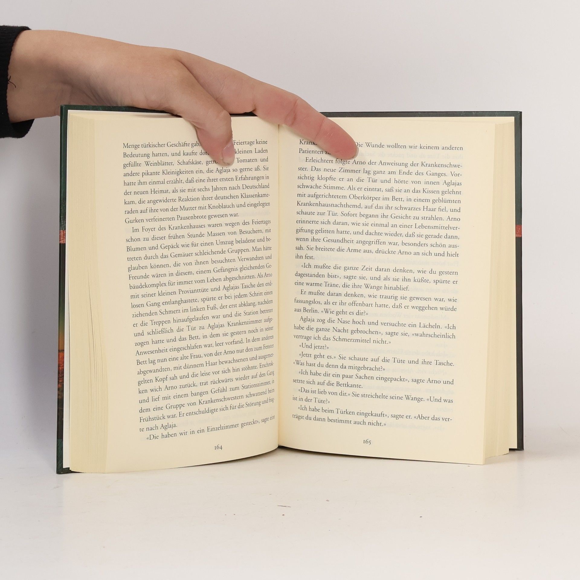 Andree Hesse Der Judaslohn