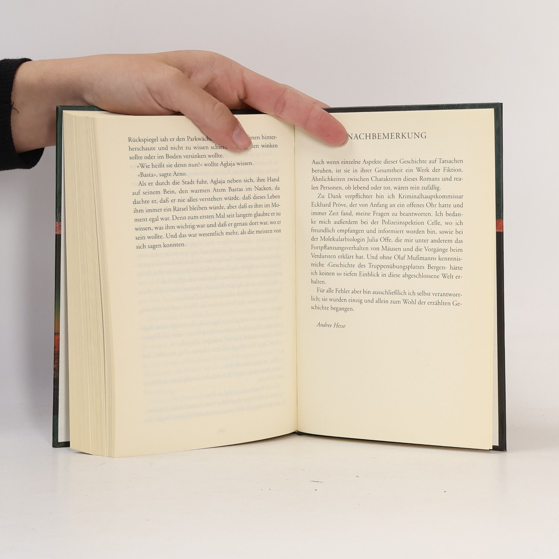 Andree Hesse Der Judaslohn