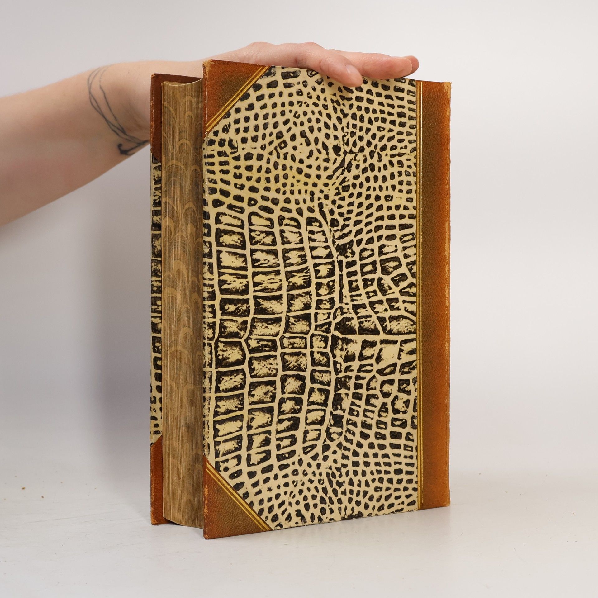 Autorenkollektiv Brockhaus' Konversations-Lexikon 5