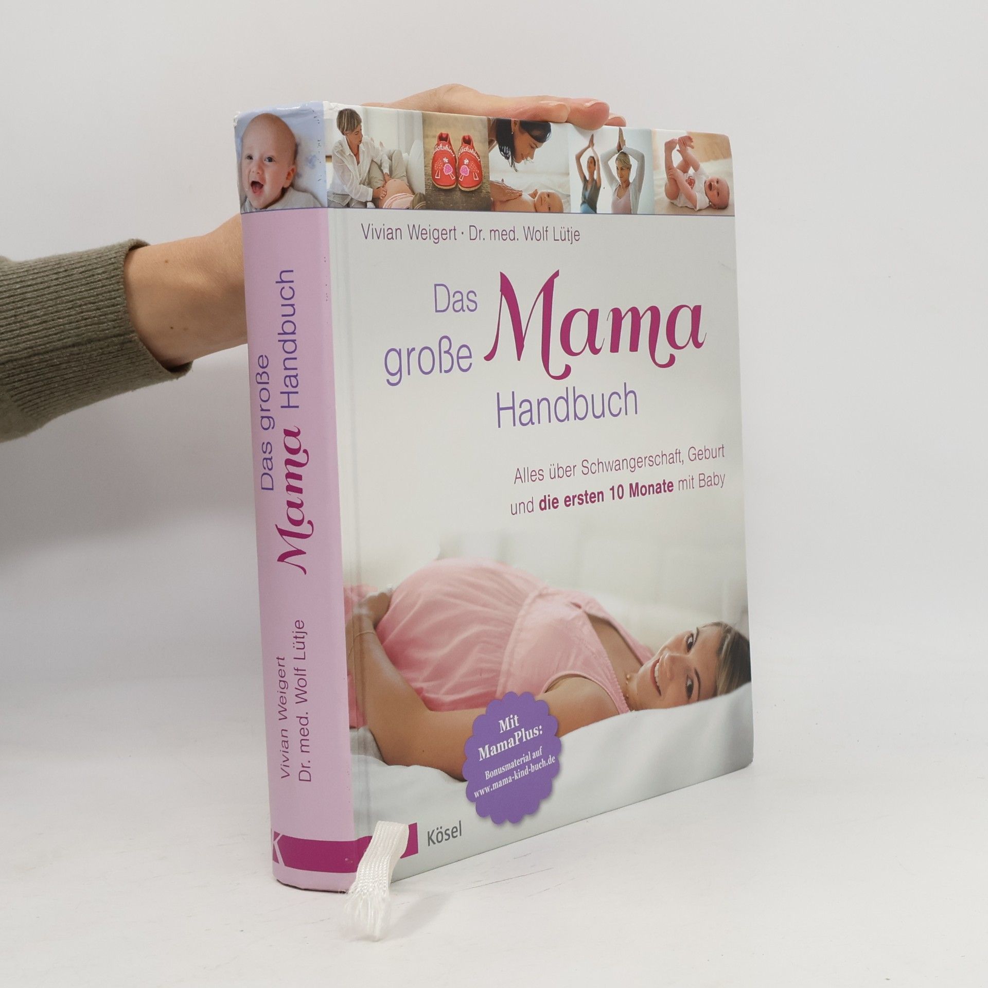 Various authors Das grosse Mama Handbuch