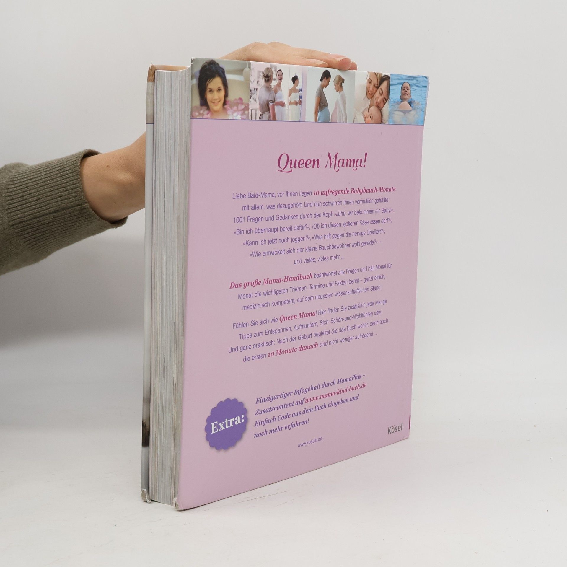 Various authors Das grosse Mama Handbuch