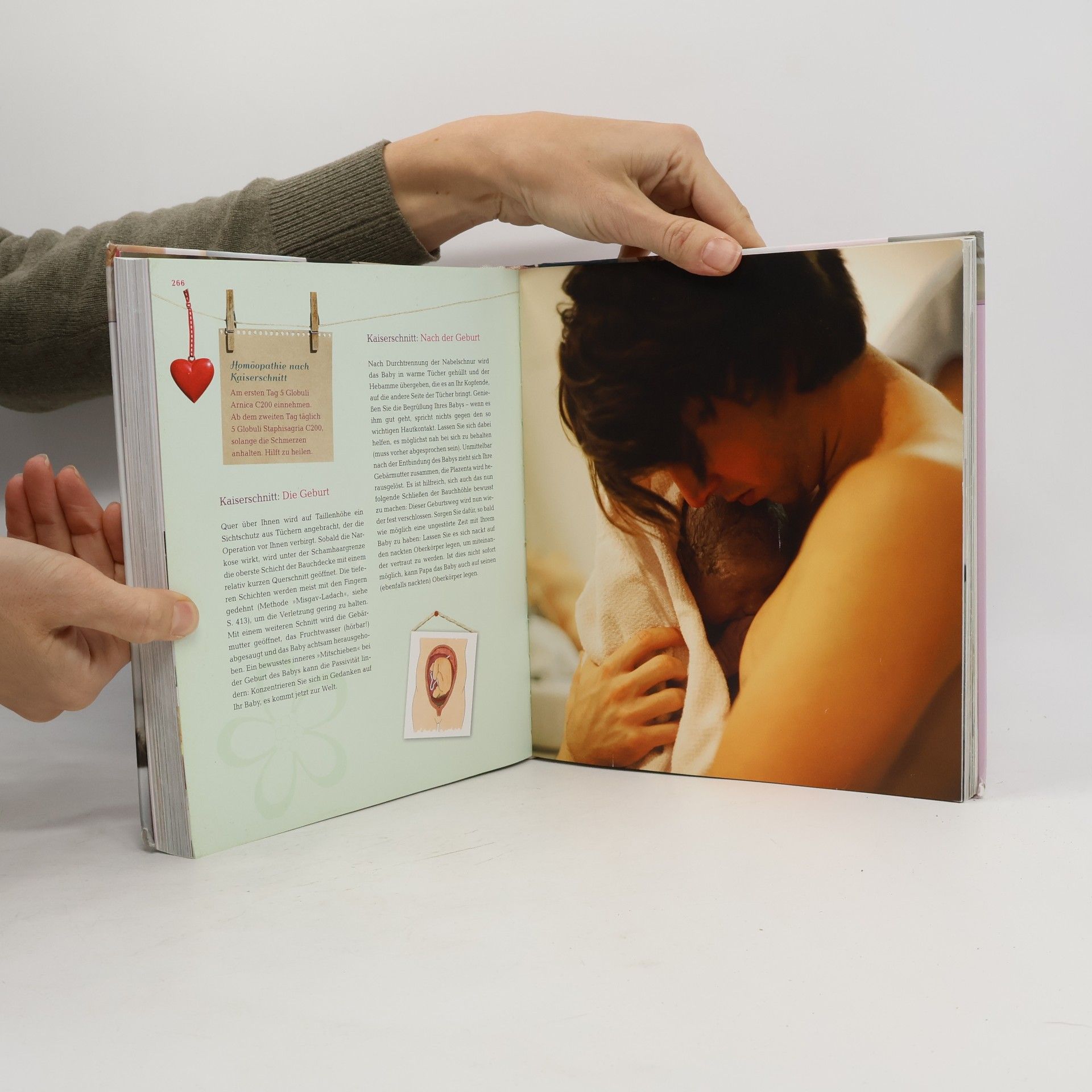 Various authors Das grosse Mama Handbuch