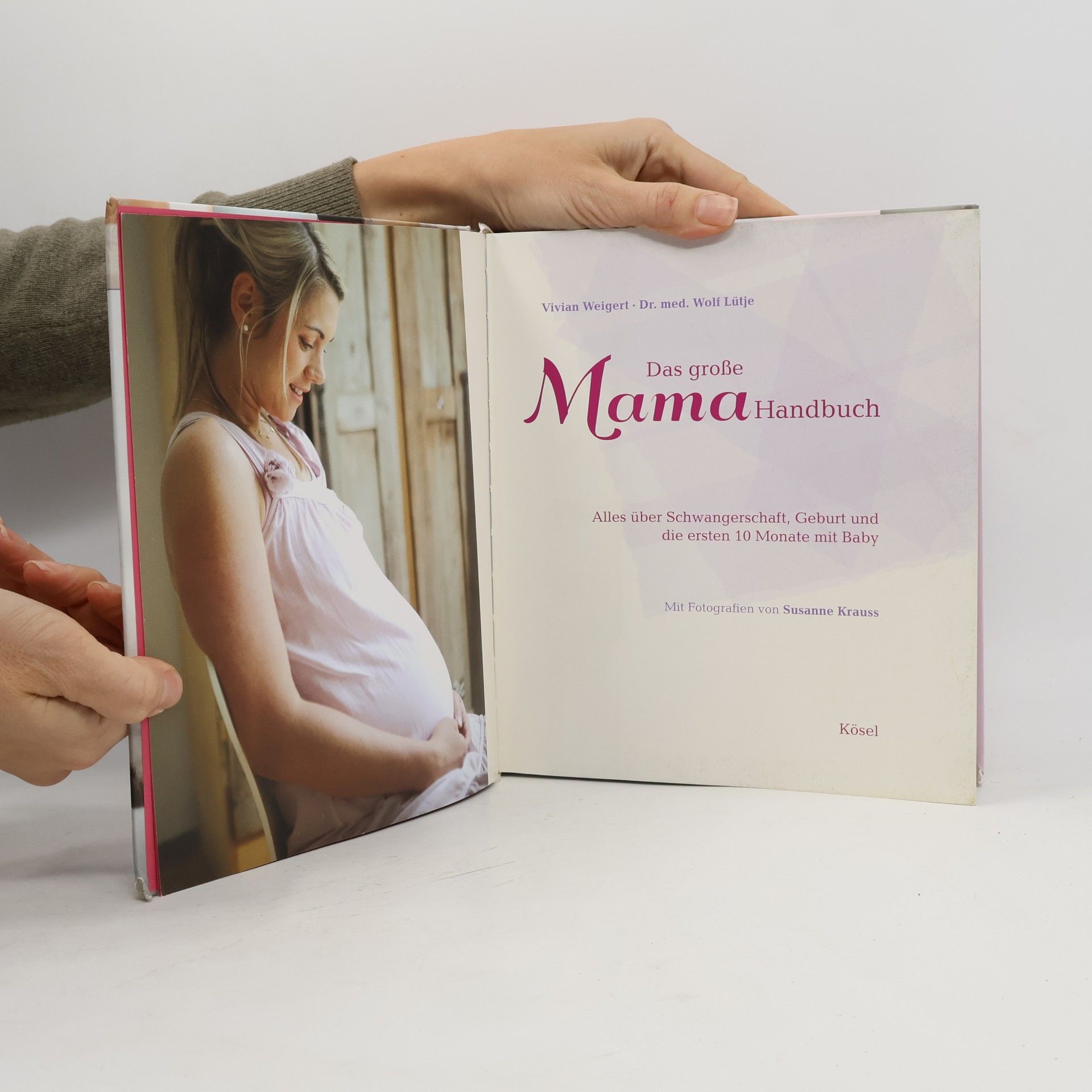 Various authors Das grosse Mama Handbuch