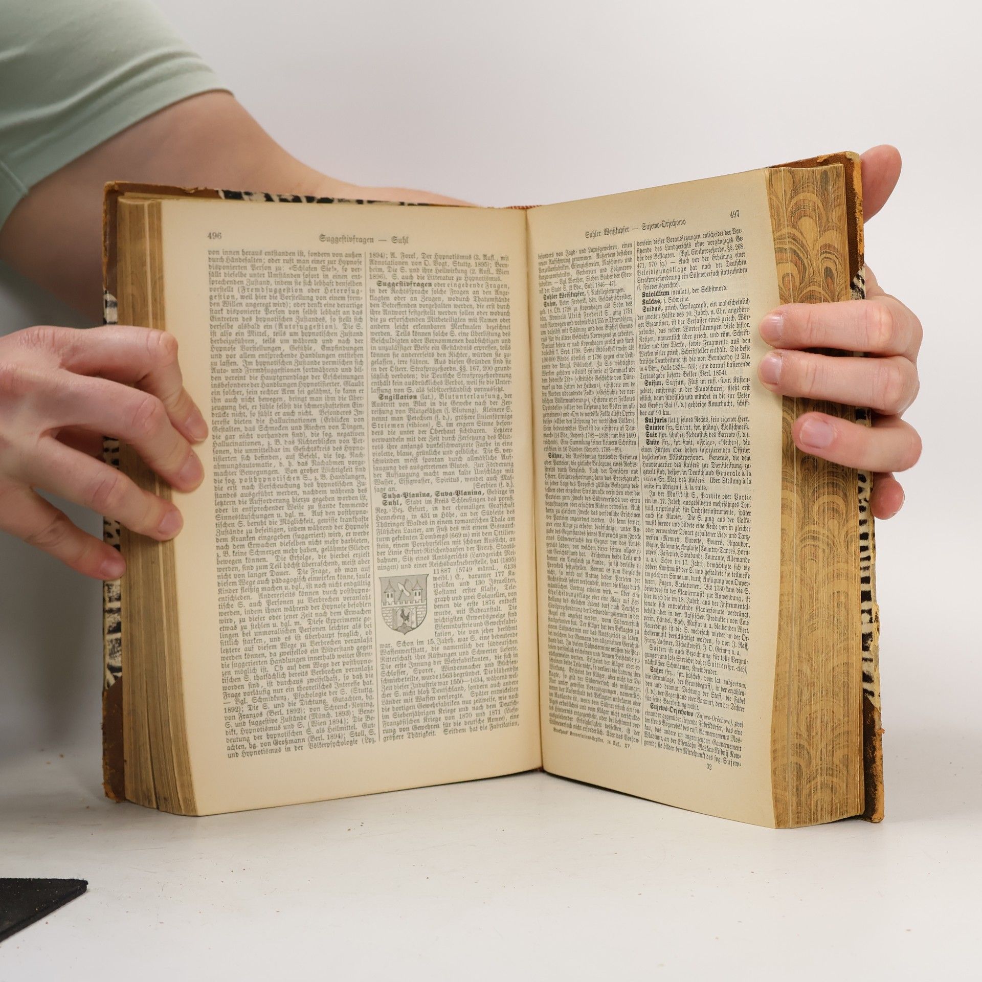 Autorenkollektiv Brockhaus' Konversations-Lexikon 15