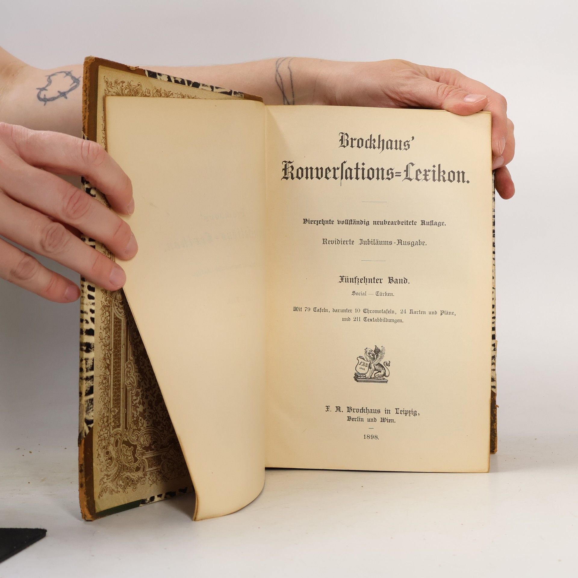 Autorenkollektiv Brockhaus' Konversations-Lexikon 15