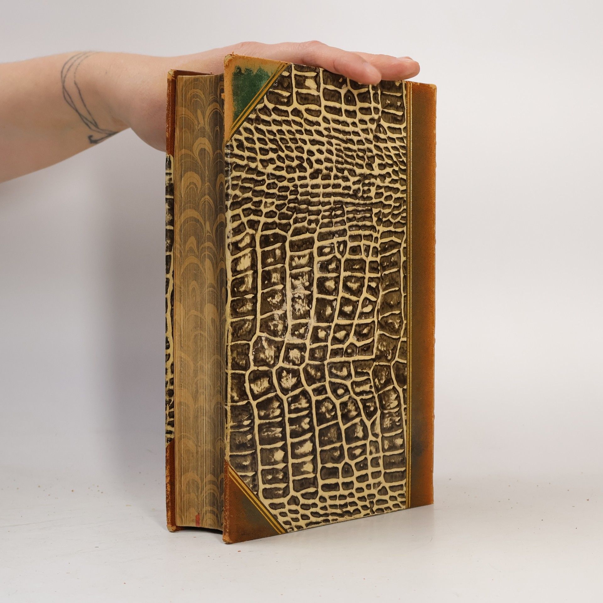 Various authors Brockhaus' Konversations-Lexikon 8