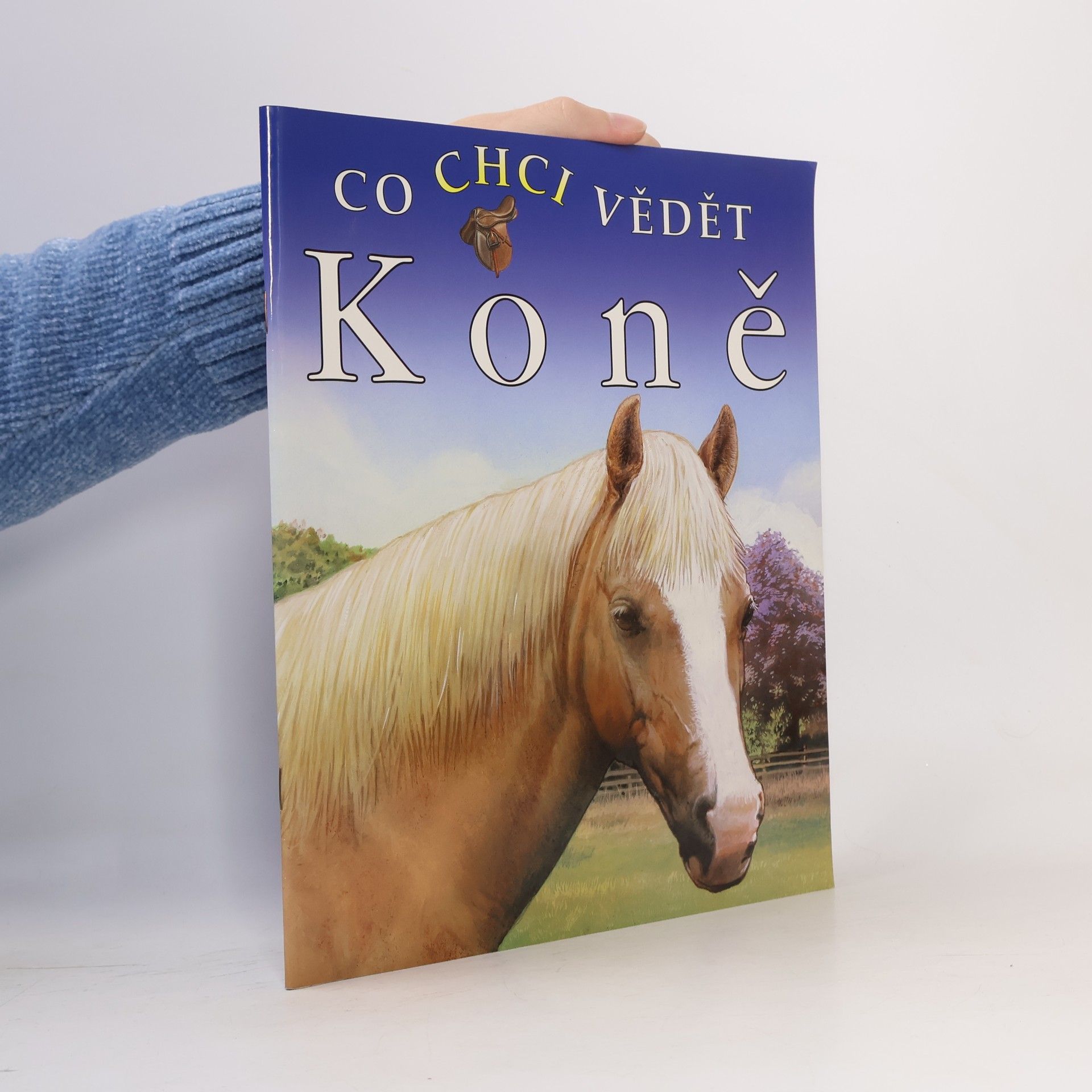 Co chci vědět - Koně