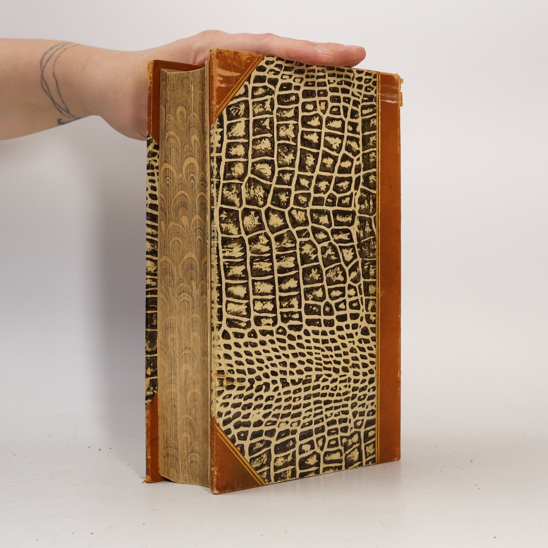 Autorenkollektiv Brockhaus' Konversations-Lexikon 1