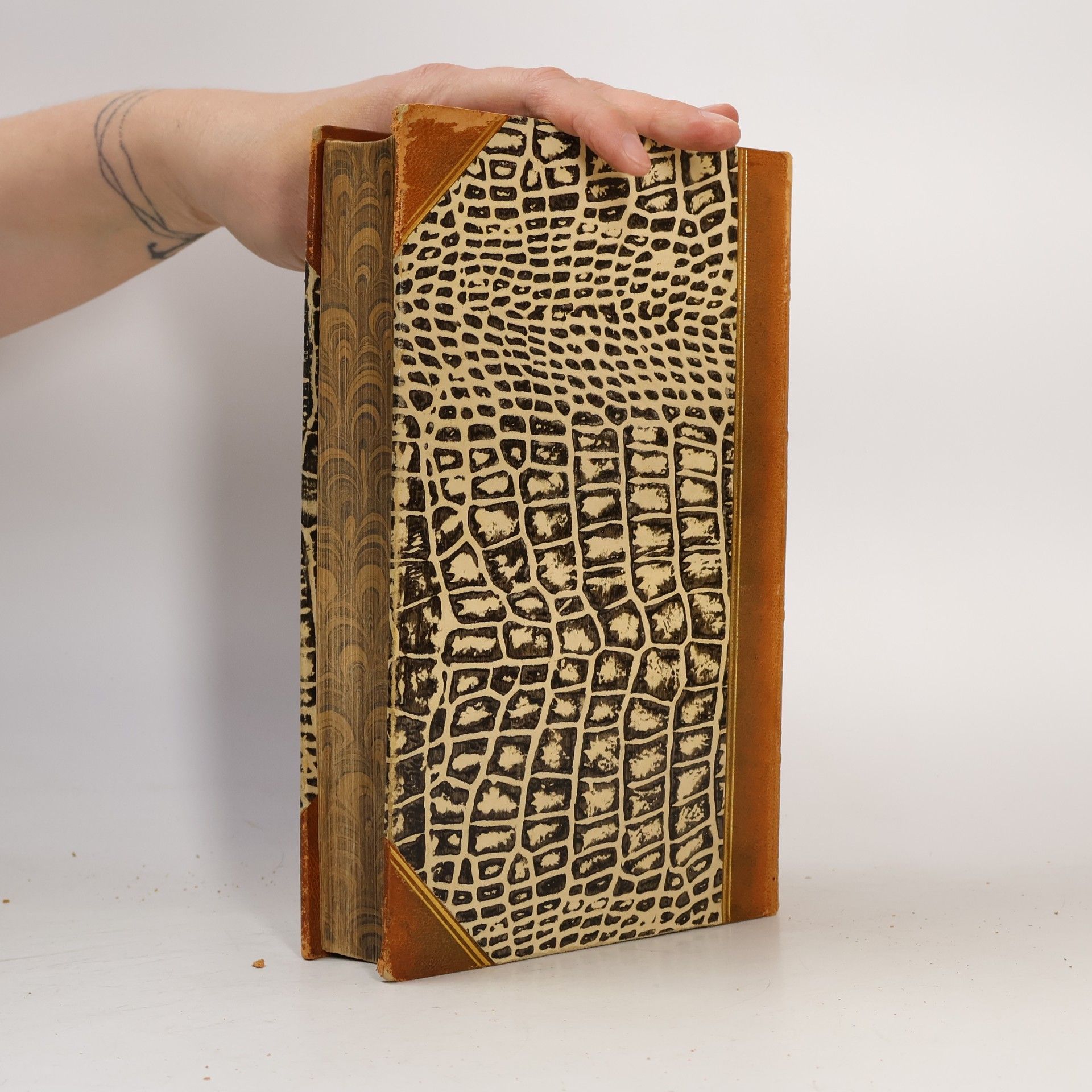 Various authors Brockhaus' Konversations-Lexikon 4