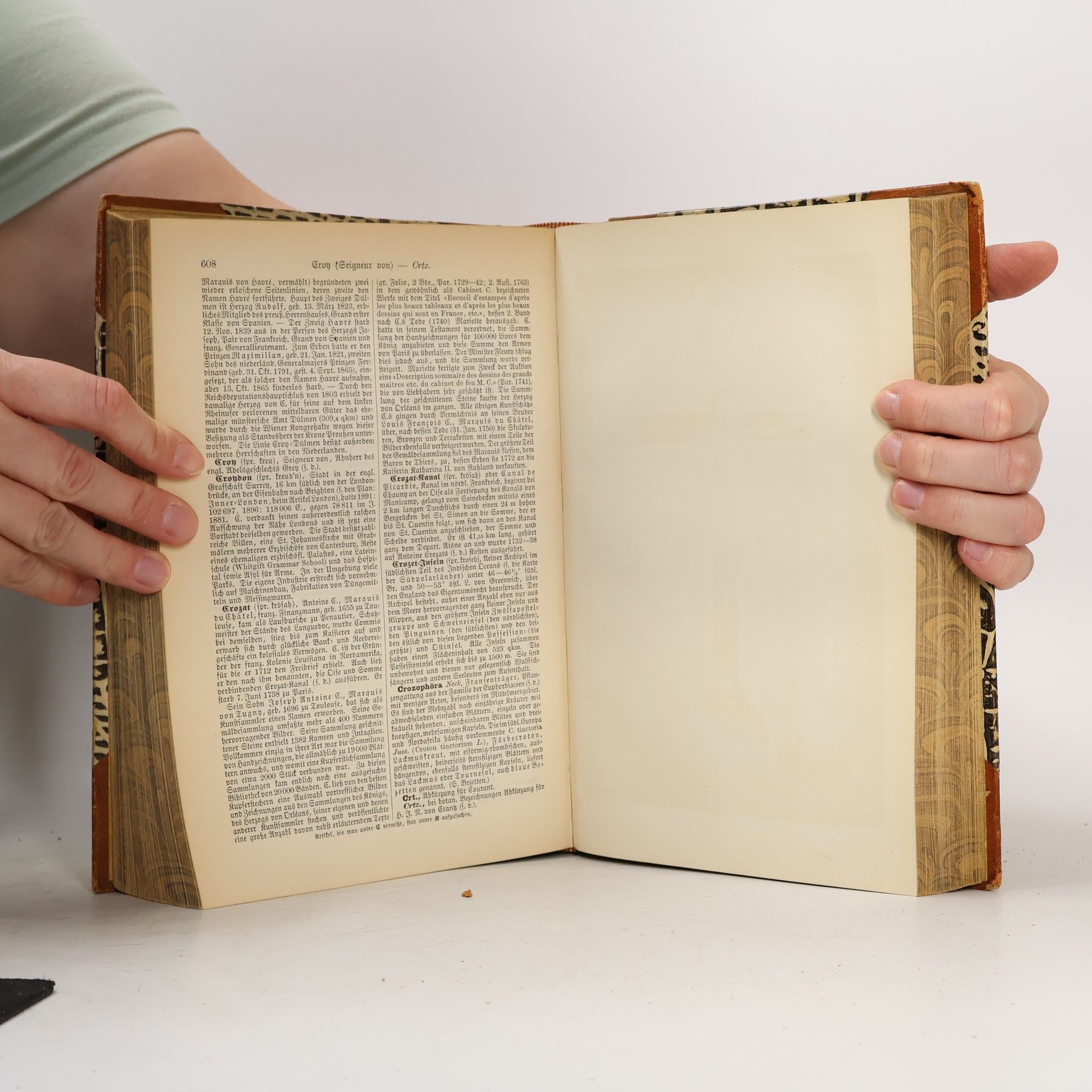 Various authors Brockhaus' Konversations-Lexikon 4