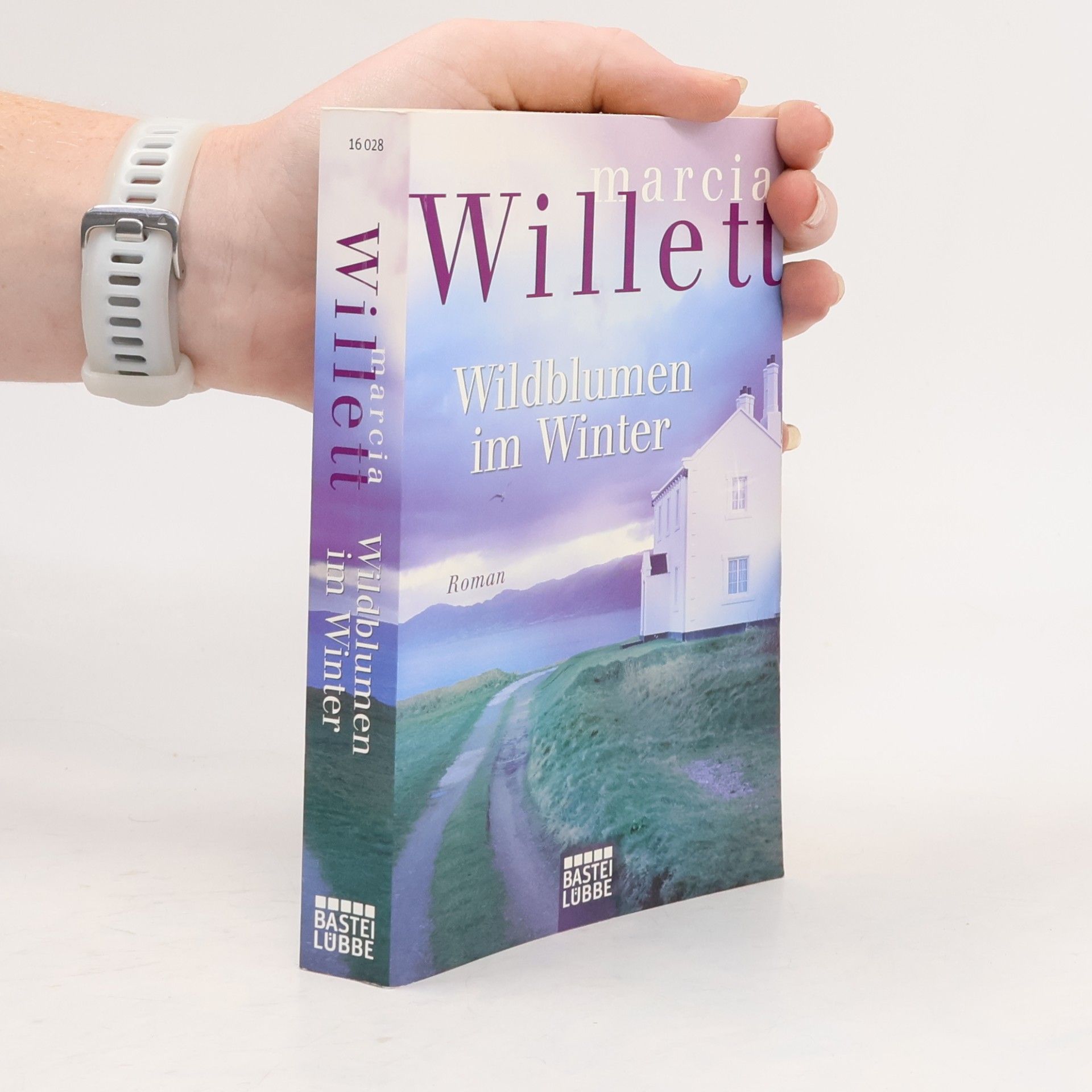 Marcia Willett Wildblumen im Winter