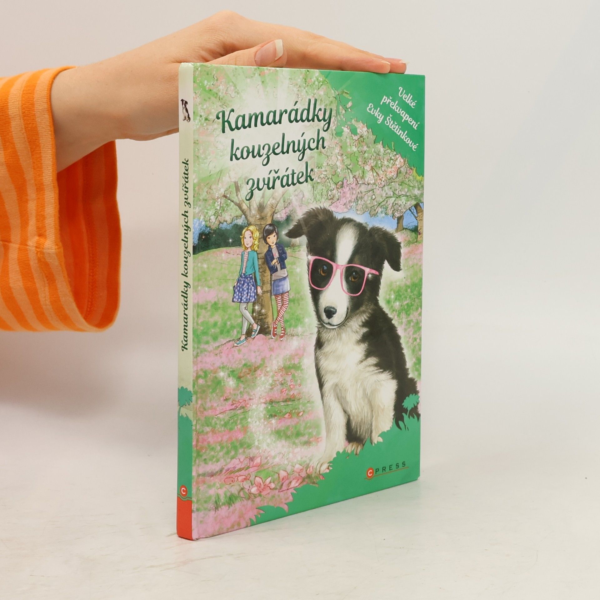 Daisy Meadows Velké překvapení Evky Štětinkové. Kamarádky kouzelných zvířátek