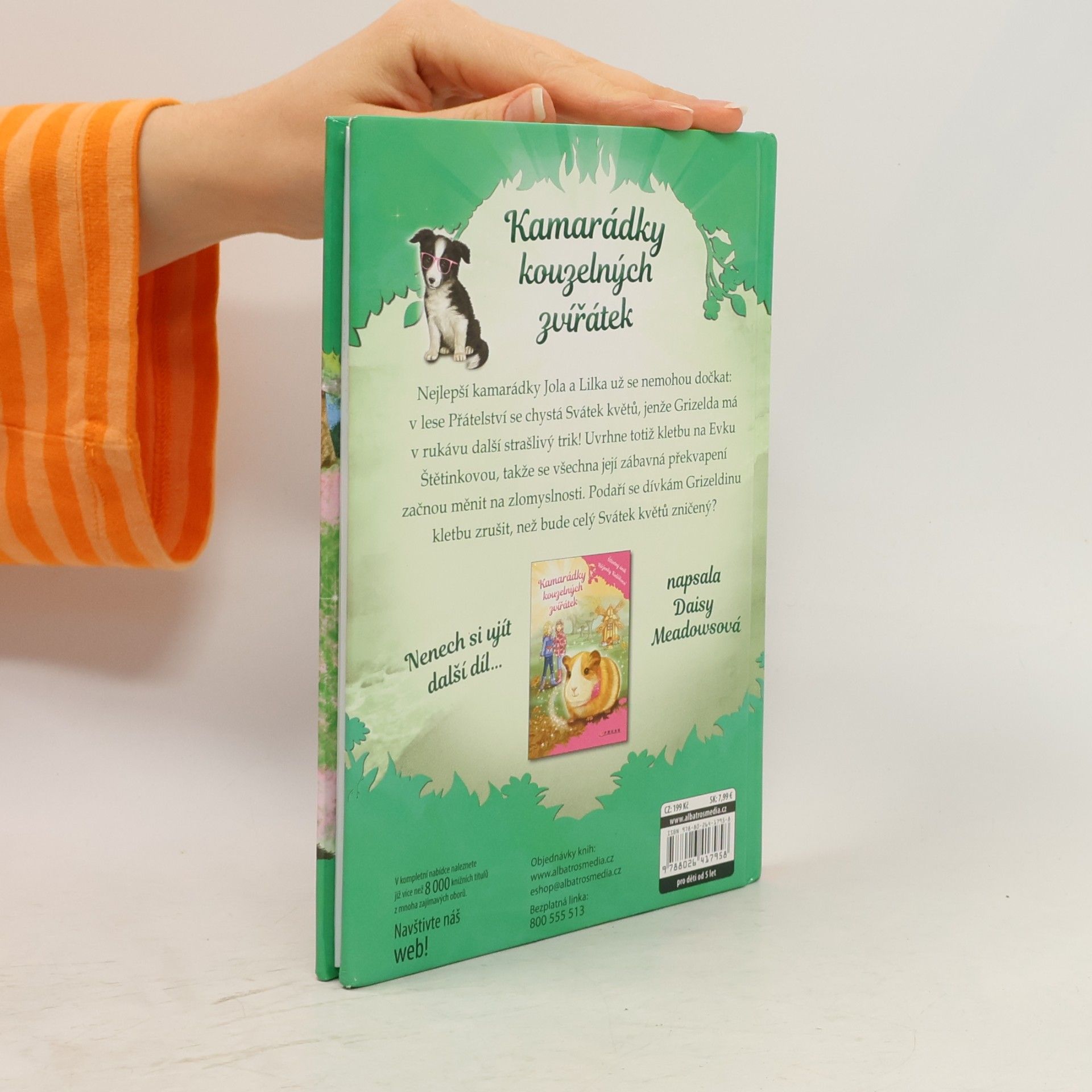 Daisy Meadows Velké překvapení Evky Štětinkové. Kamarádky kouzelných zvířátek