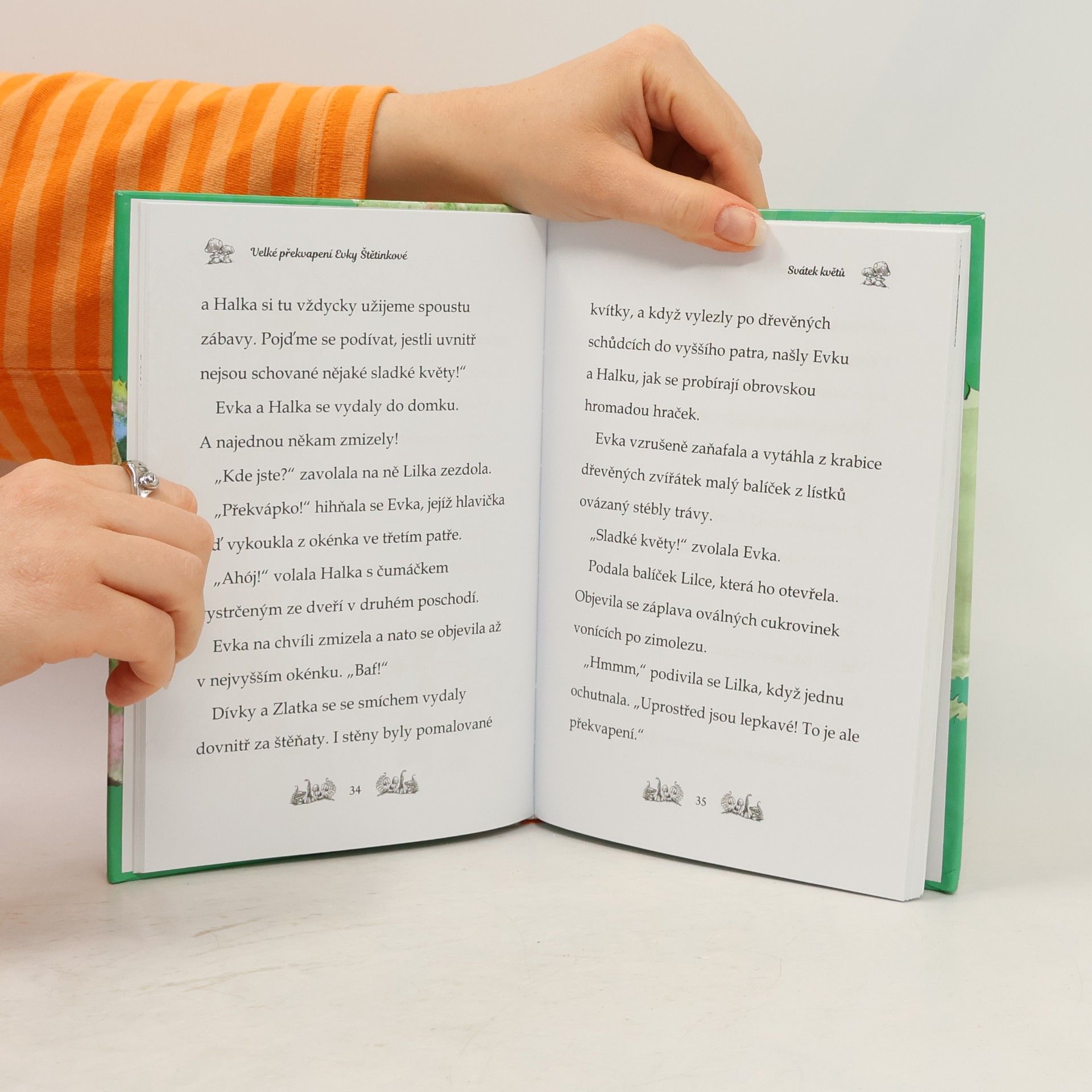 Daisy Meadows Velké překvapení Evky Štětinkové. Kamarádky kouzelných zvířátek