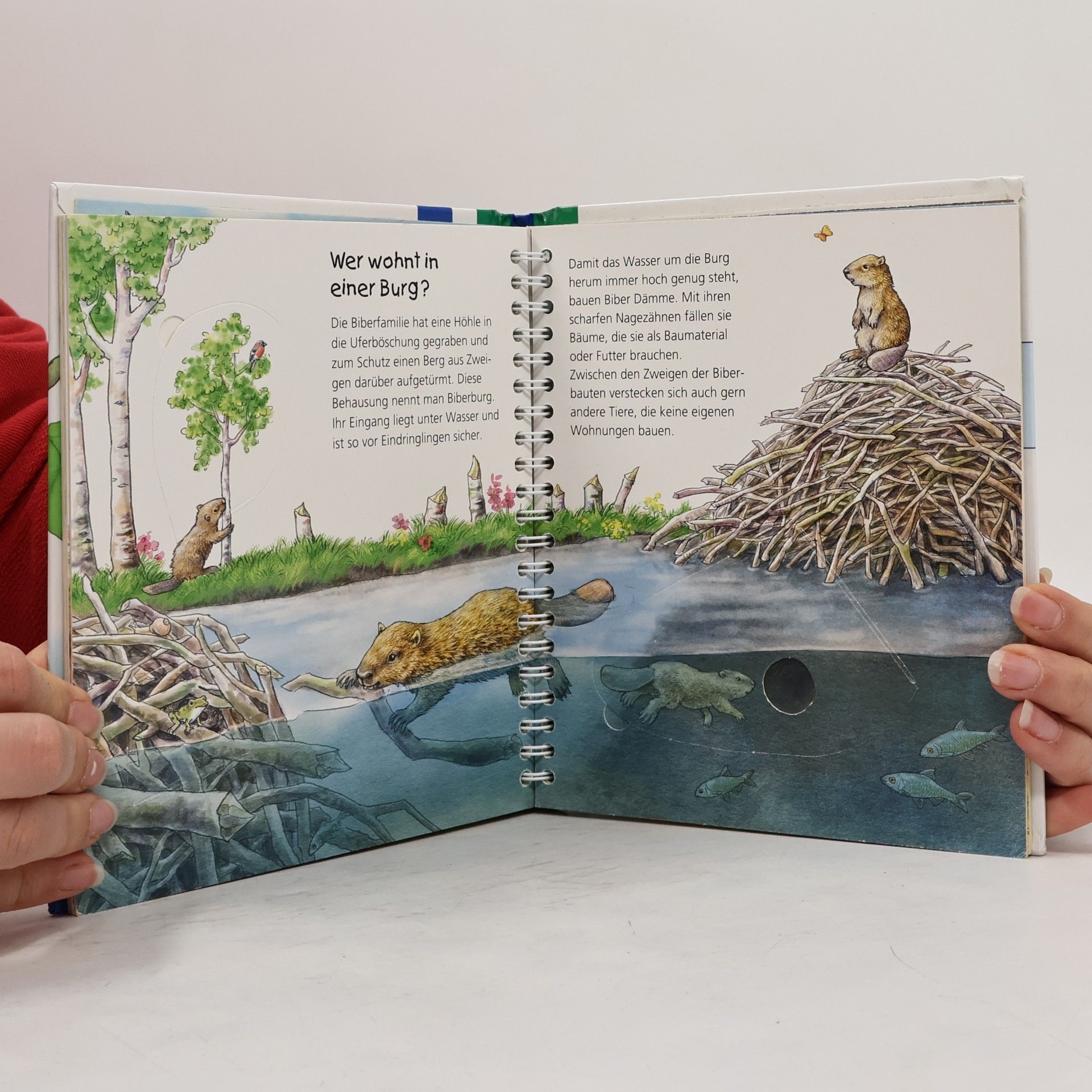 Anne Möller Wo die Tiere wohnen