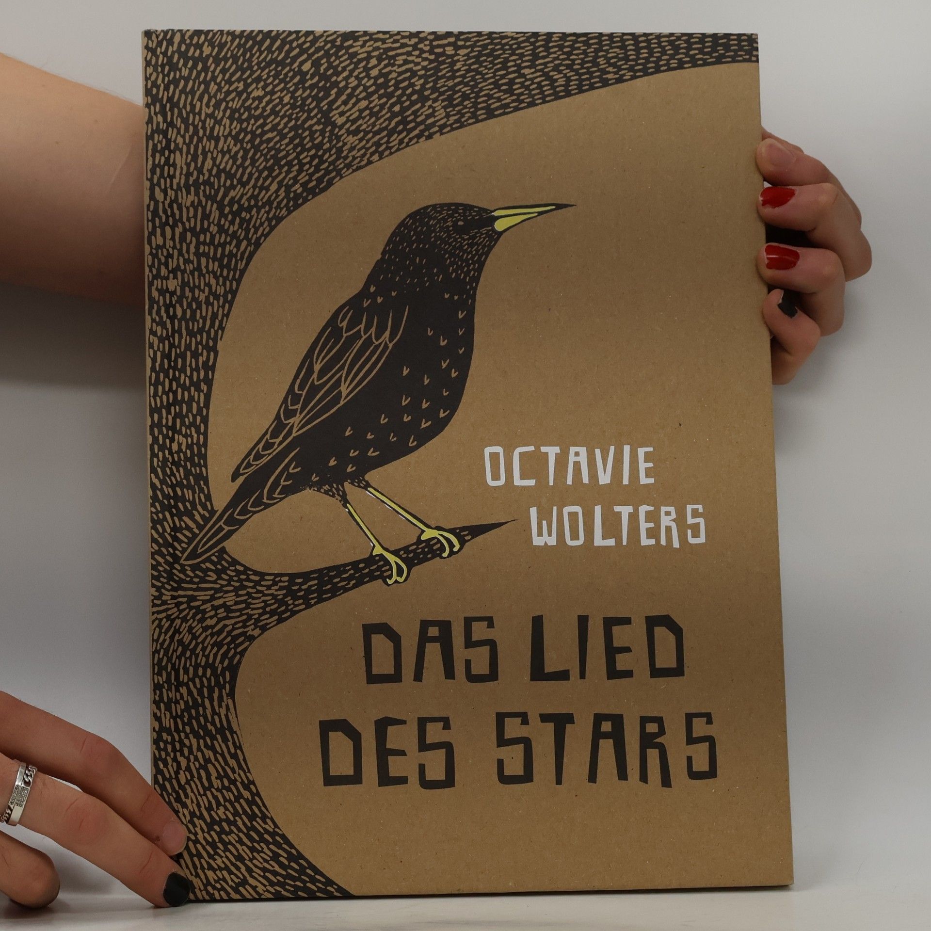 Das Lied des Stars