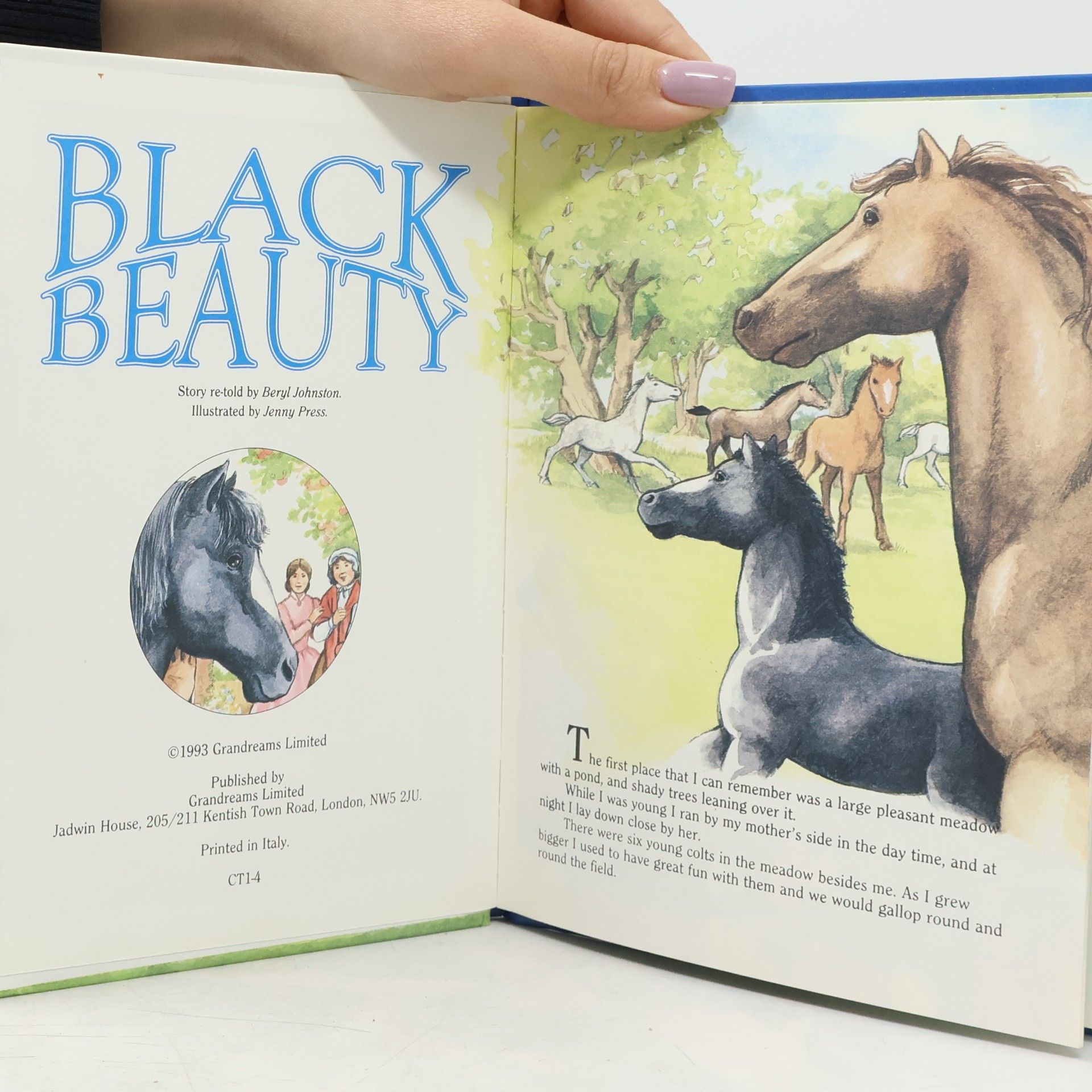 Beryl Johnston Black Beauty
