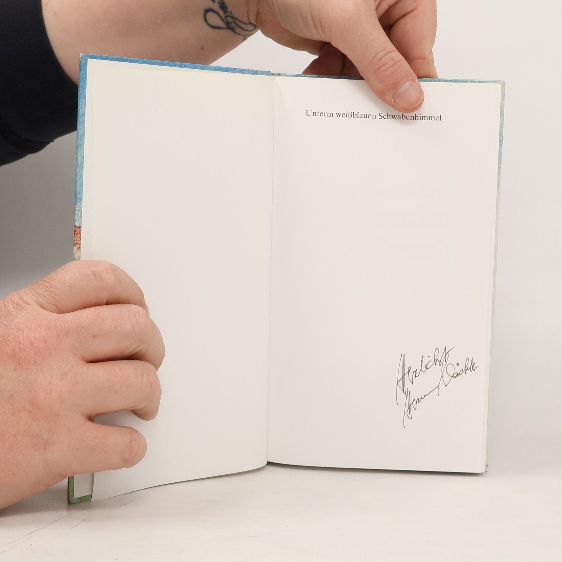 Hermann Wächter Unterm weissblauen Schwabenhimmel
