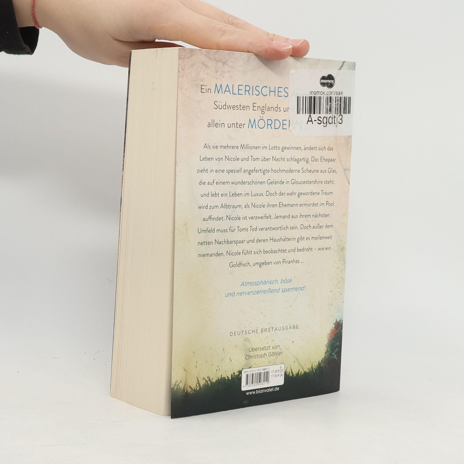 Gilly Macmillan Die Witwe