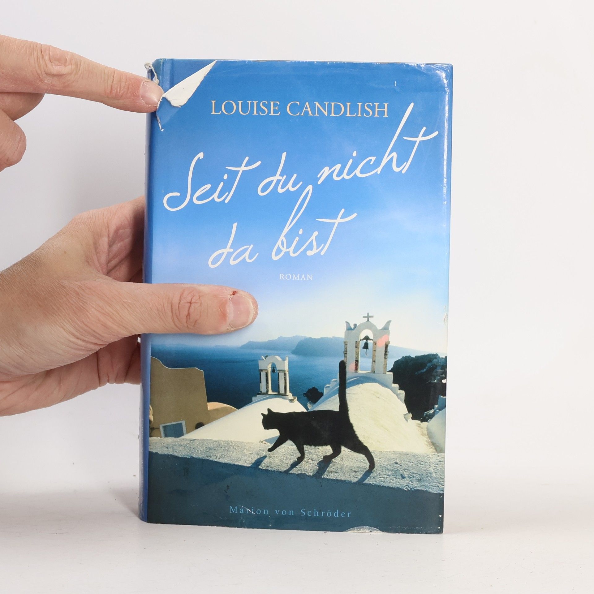 Louise Candlish Seit du nicht da bist
