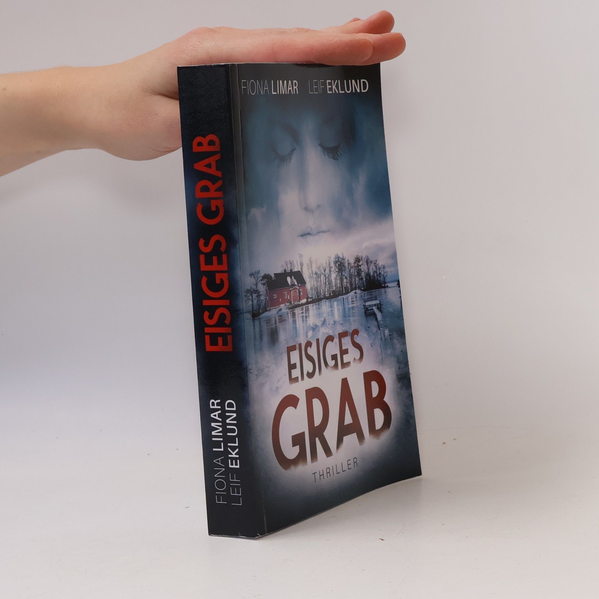 Eisiges Grab