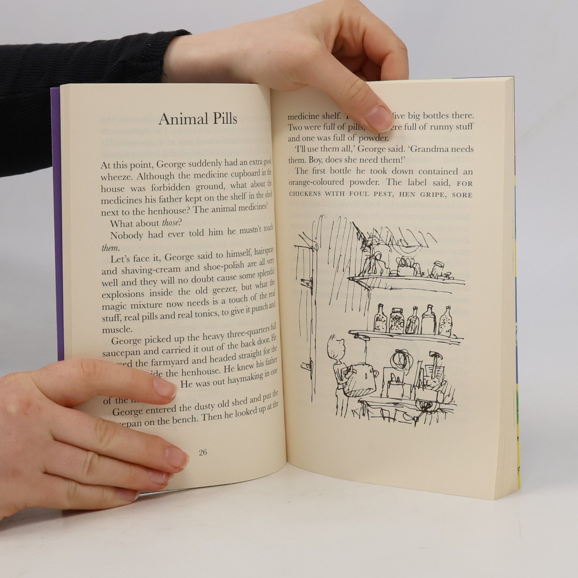 Roald Dahl George's Marvellous Medicine