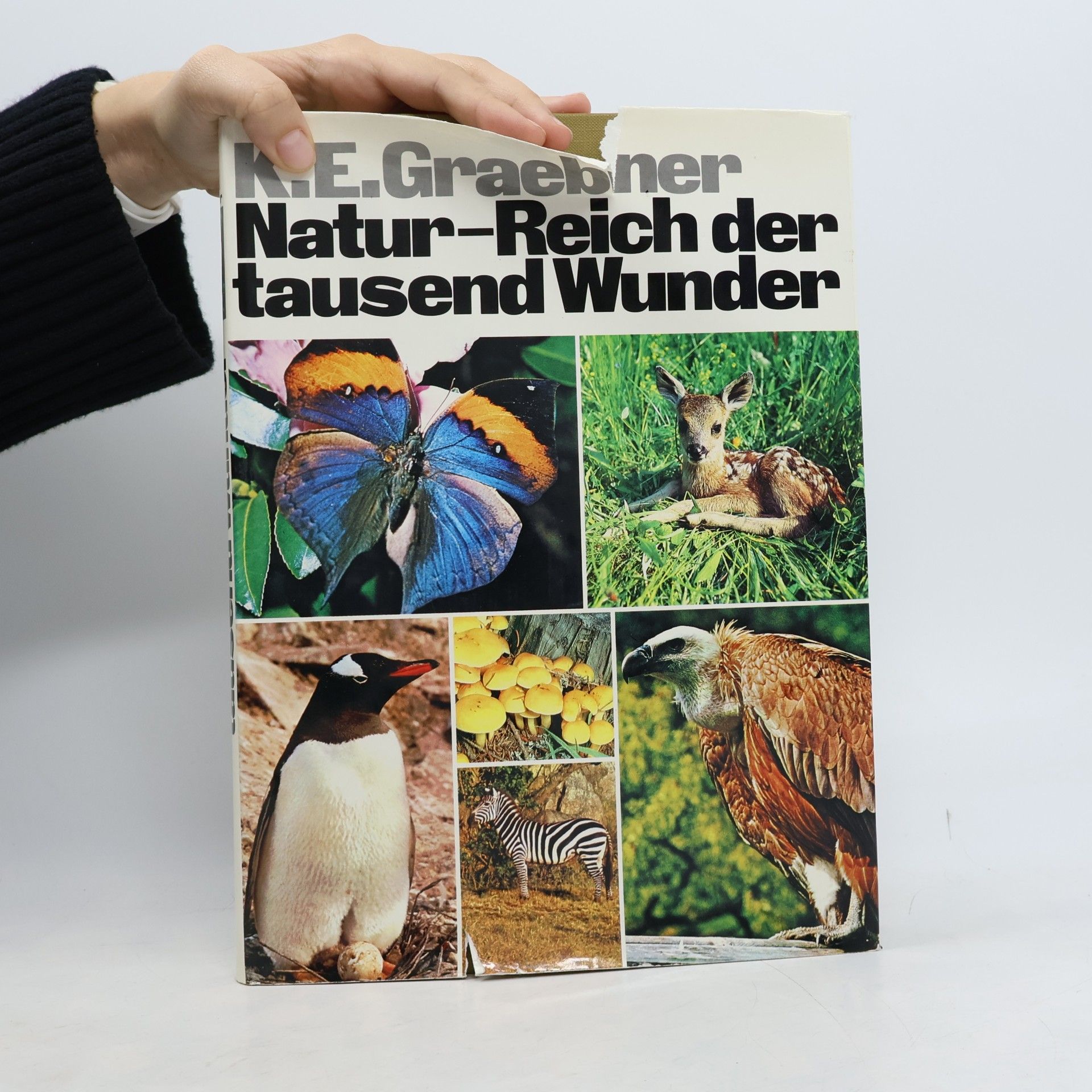 Karl-Erich Graebner Natur