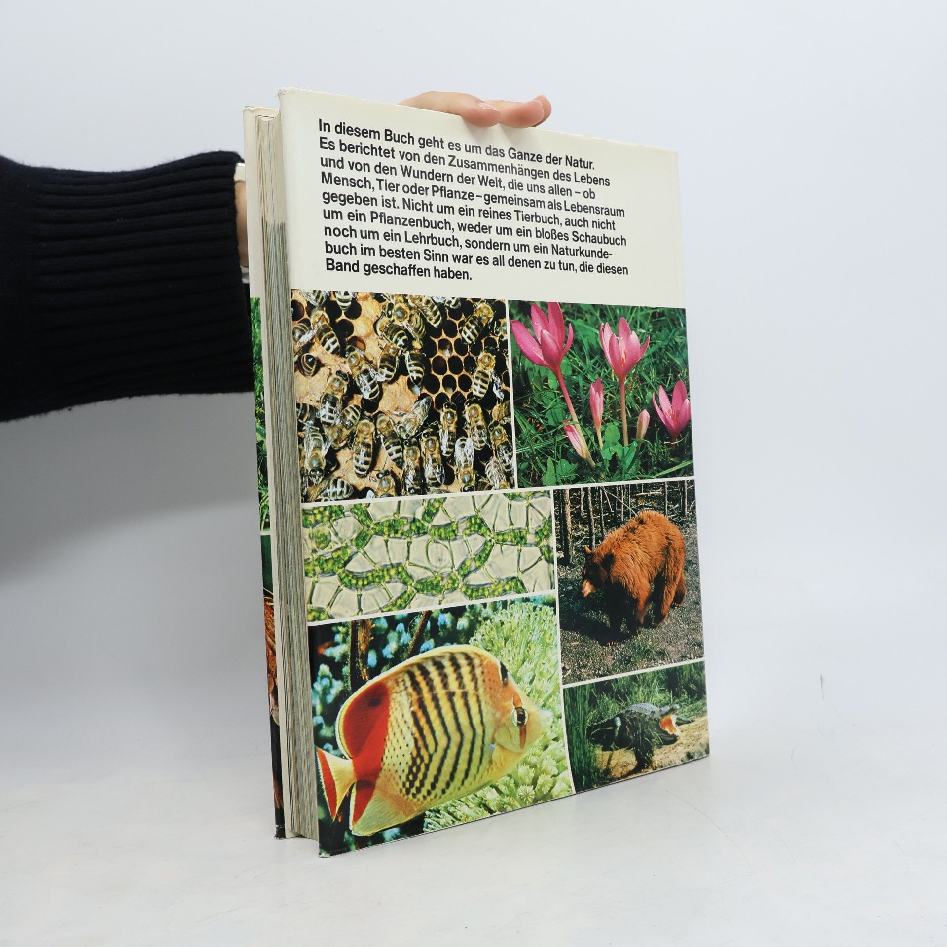 Karl-Erich Graebner Natur
