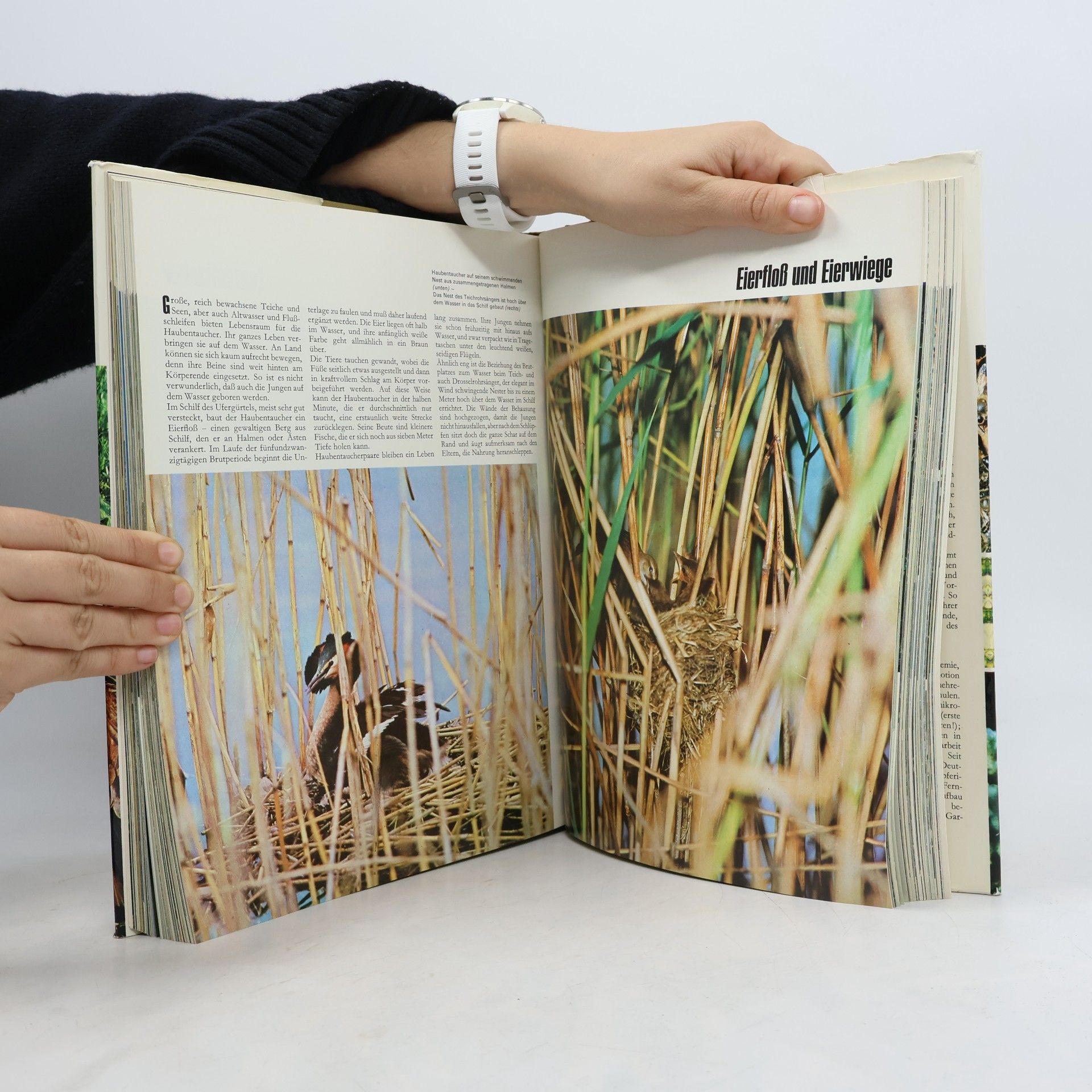 Karl-Erich Graebner Natur