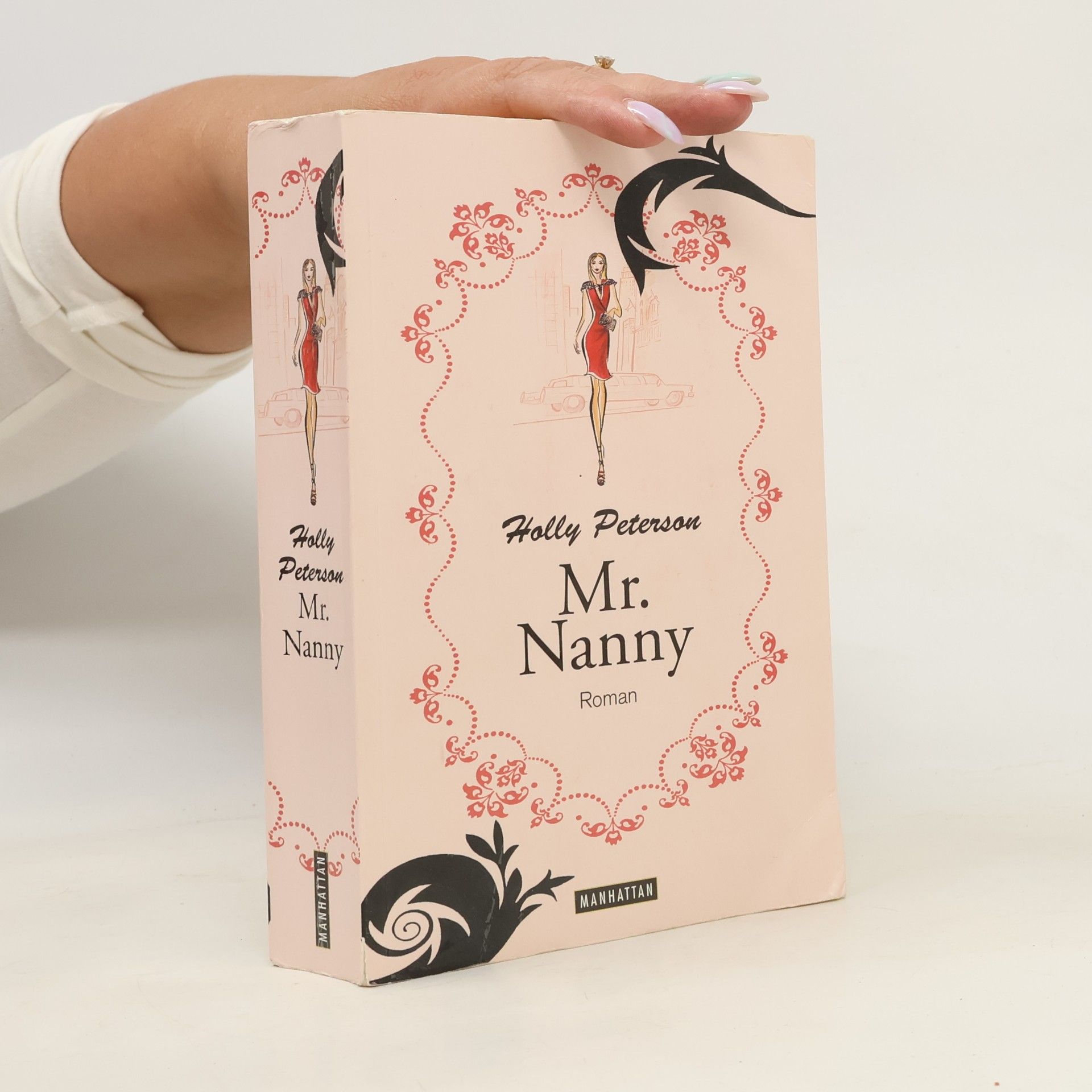 Mr. Nanny