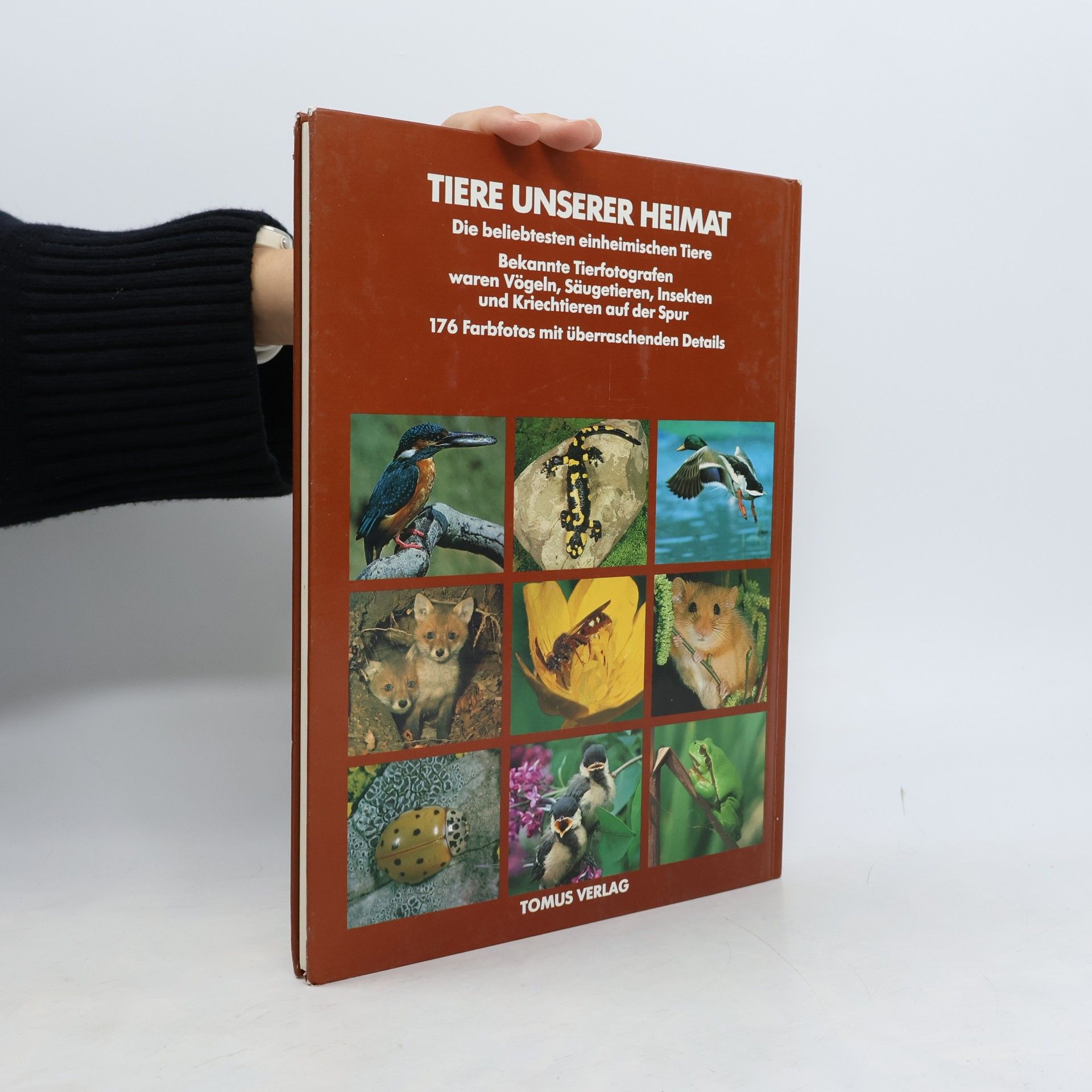 Theodor Haltenorth Tiere unserer Heimat