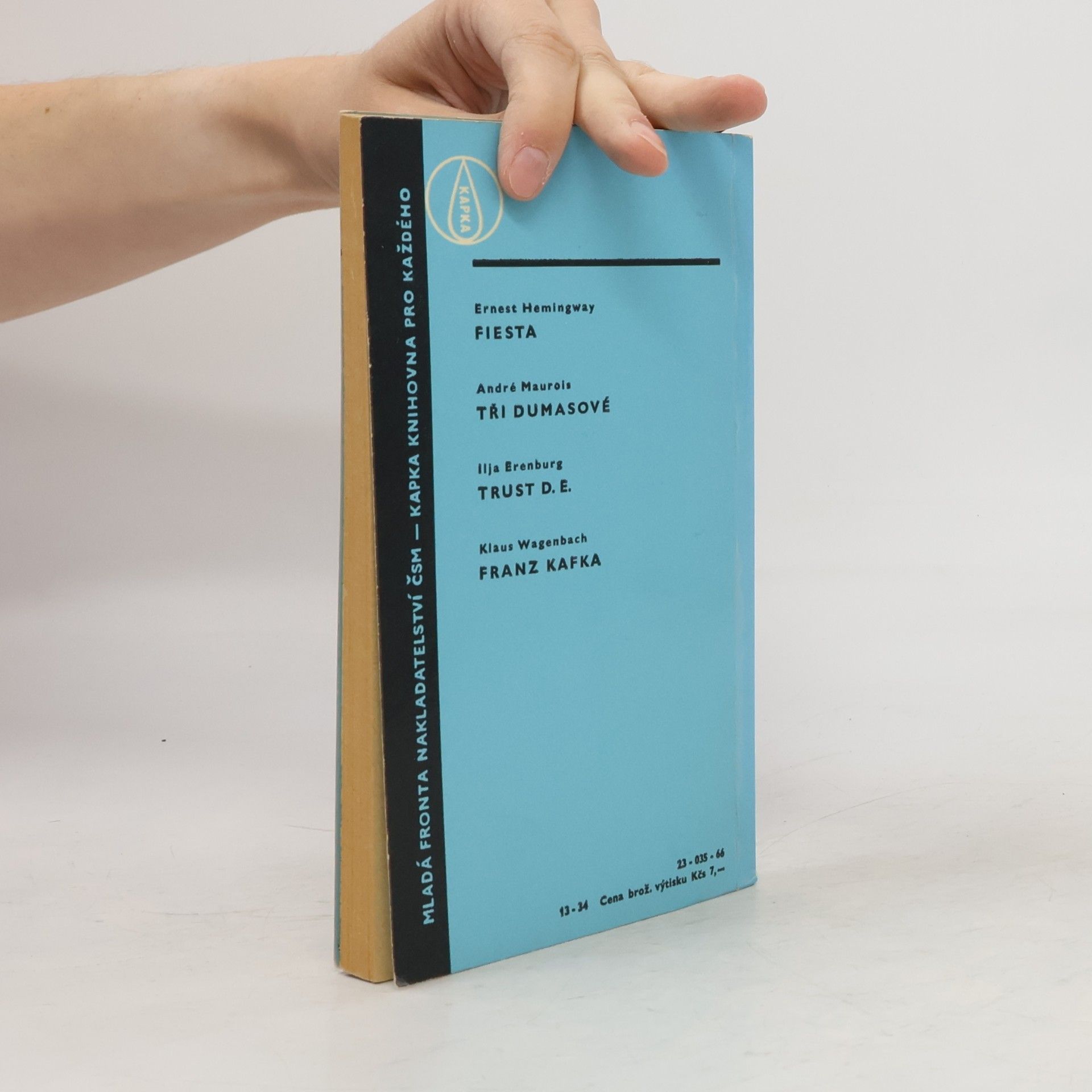 Wolf Mankowitz U Mendelmanů hoří