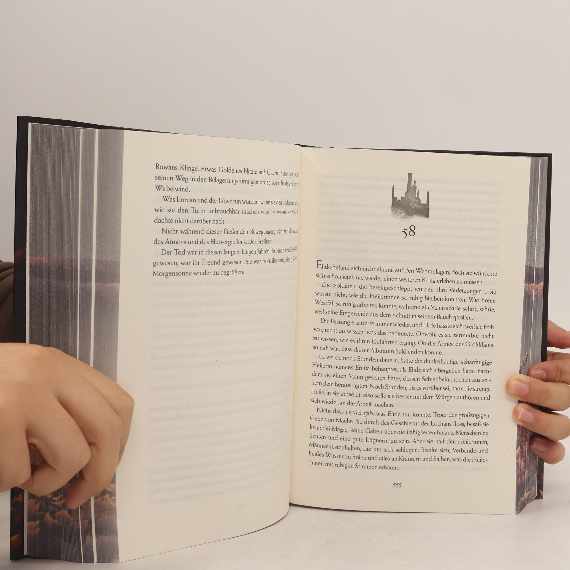 Sarah J. Maasová Throne of Glass - 7: Herrscherin über Asche und Zorn: Limitierte Sonderausgabe mit Wendeumschlag und hochveredelter Gestaltung