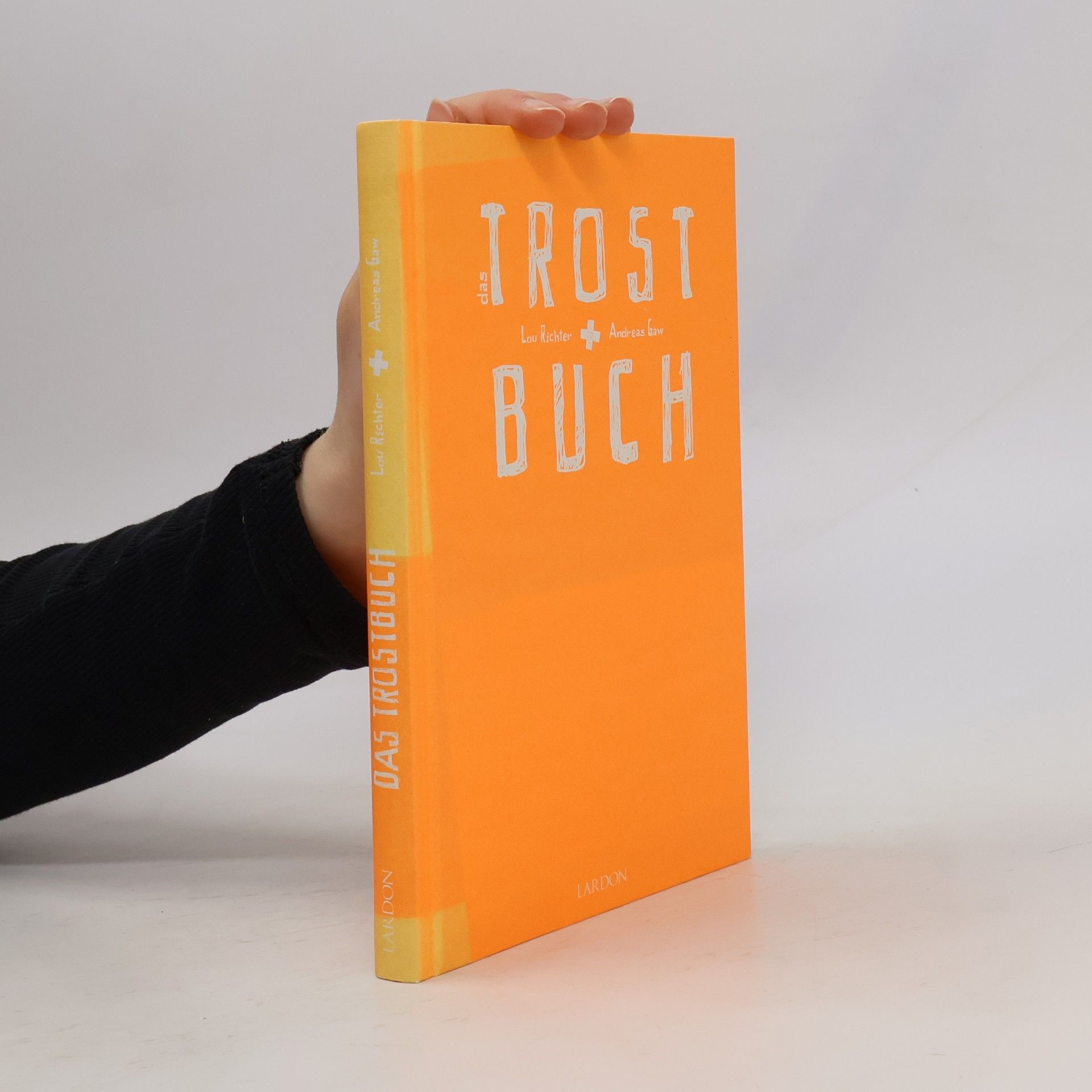 Lou Richter Das Trostbuch
