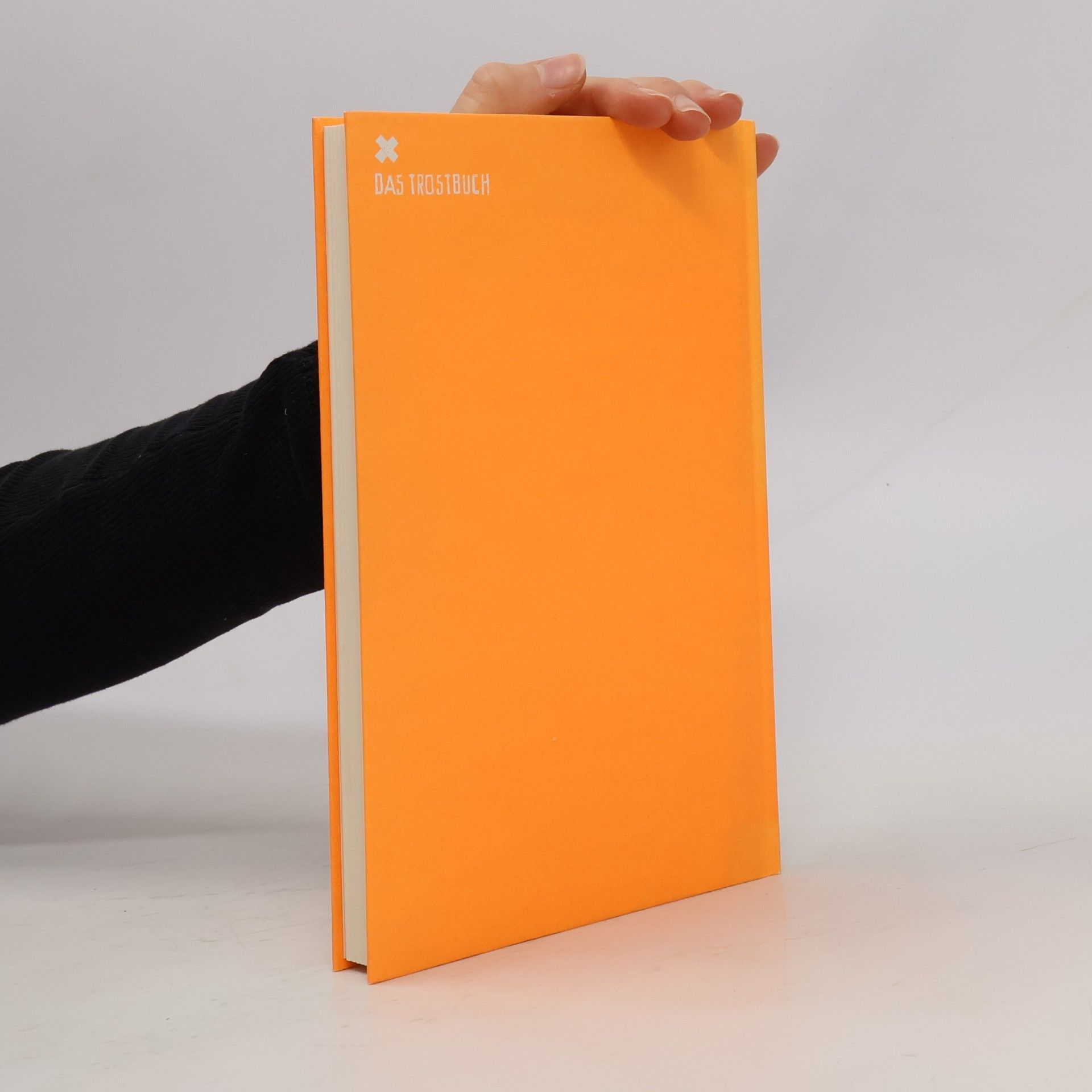 Lou Richter Das Trostbuch