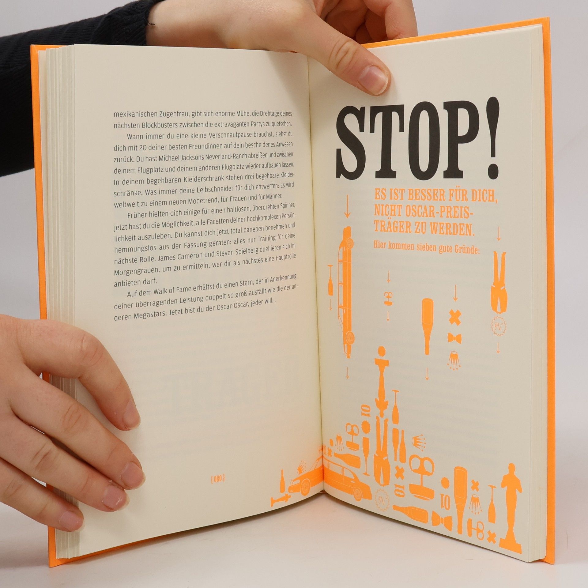 Lou Richter Das Trostbuch